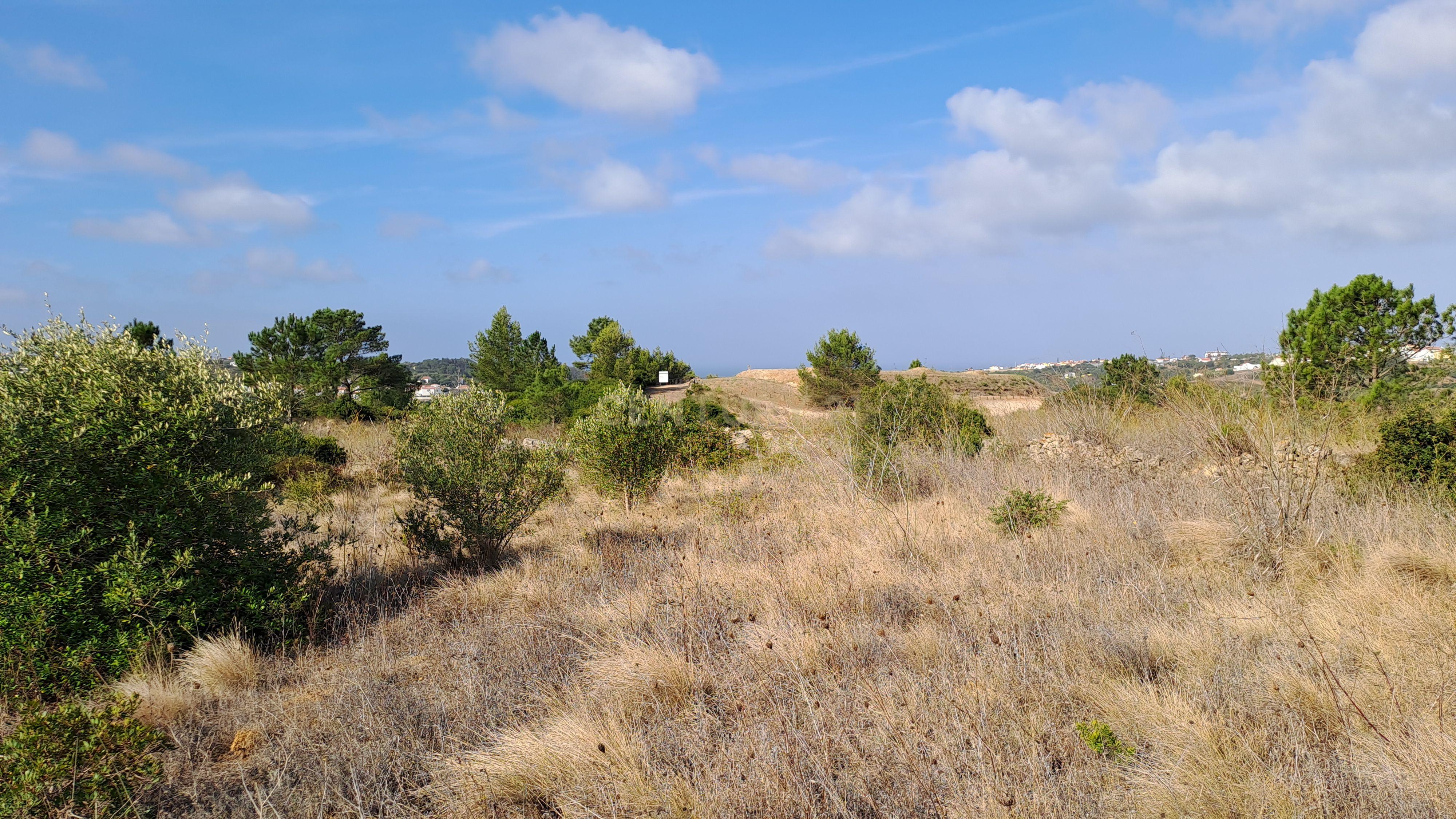 Terreno Rústico com Vista Panorâmica – Forte do Zambujal, Mafra - Image 10