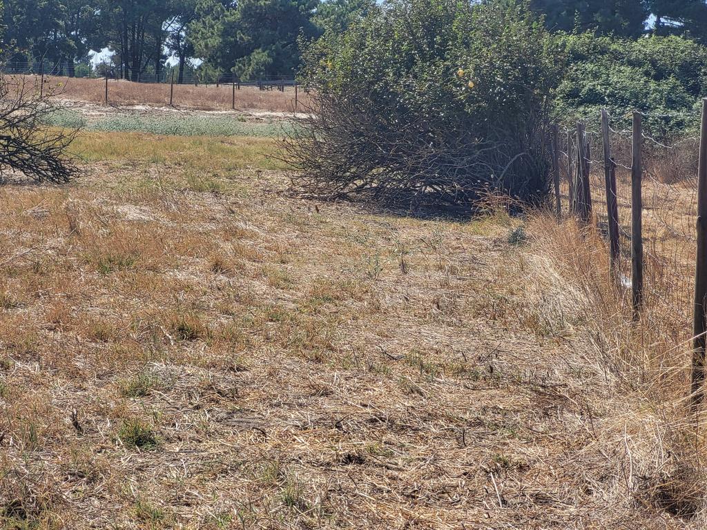 Terreno Rústico - viabilidade construção - Centro Santo António da Charneca - Image 2