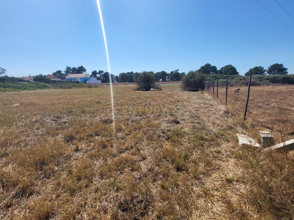 Terreno Rústico - viabilidade construção - Centro Santo António da Charneca - Image 4