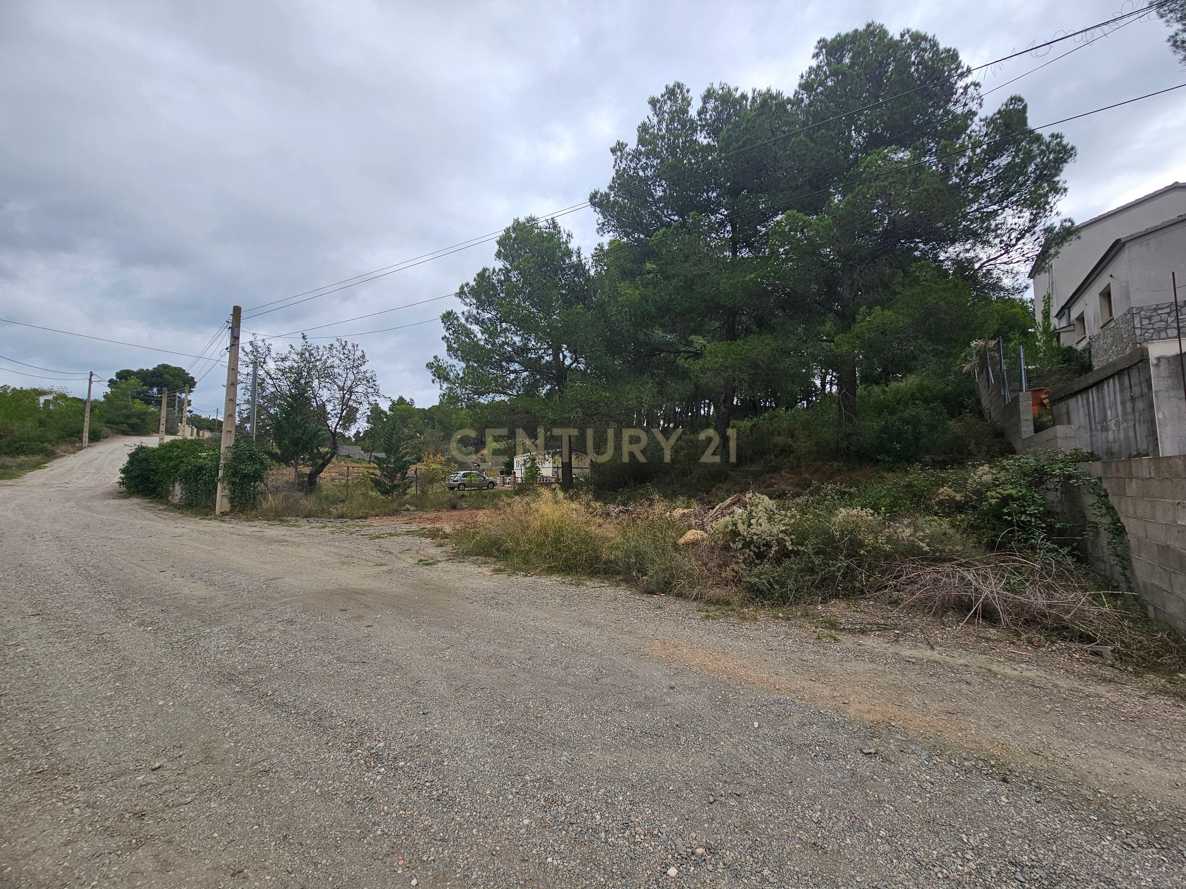 undefined - Image 3
