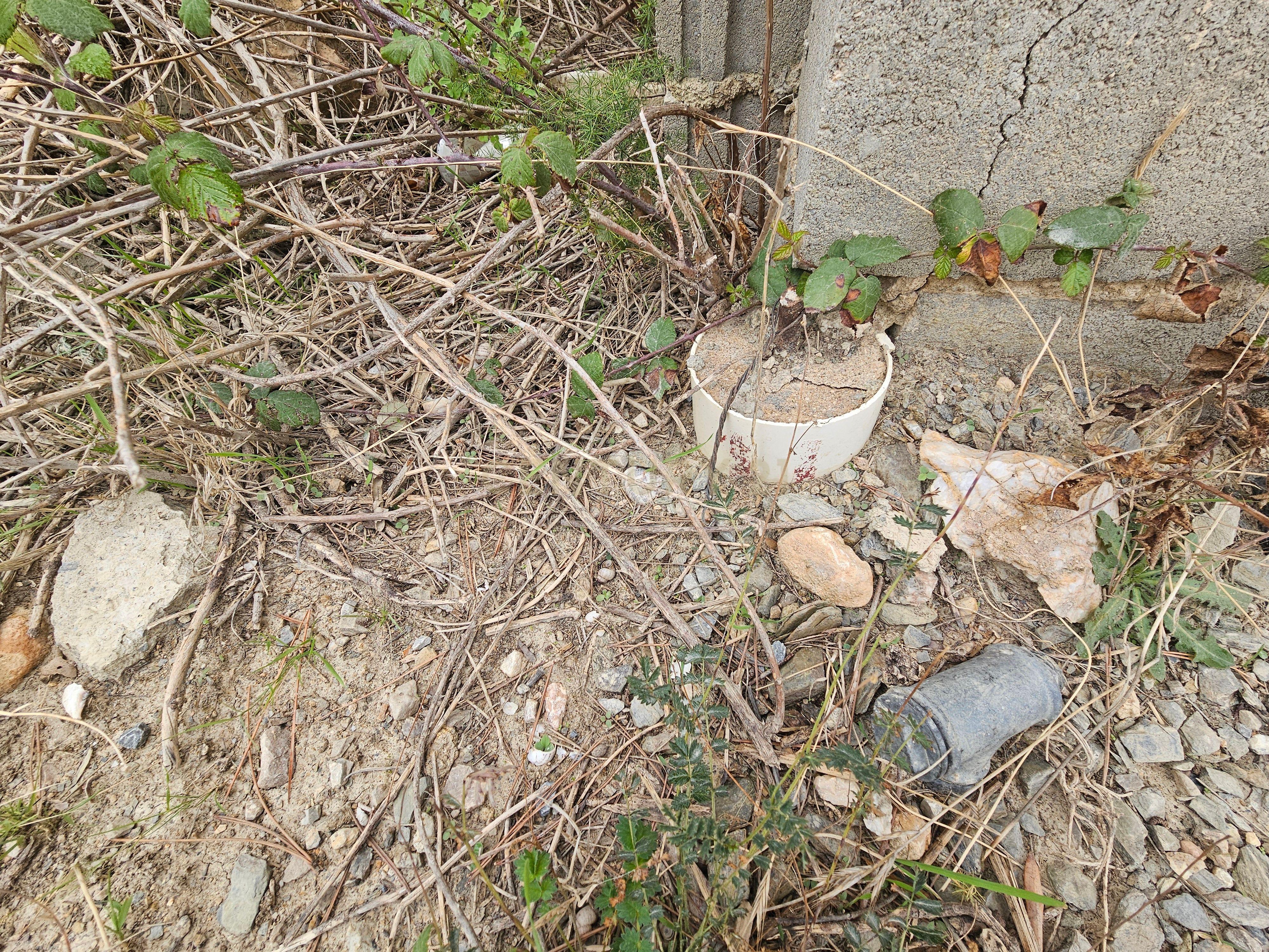 undefined - Image 8