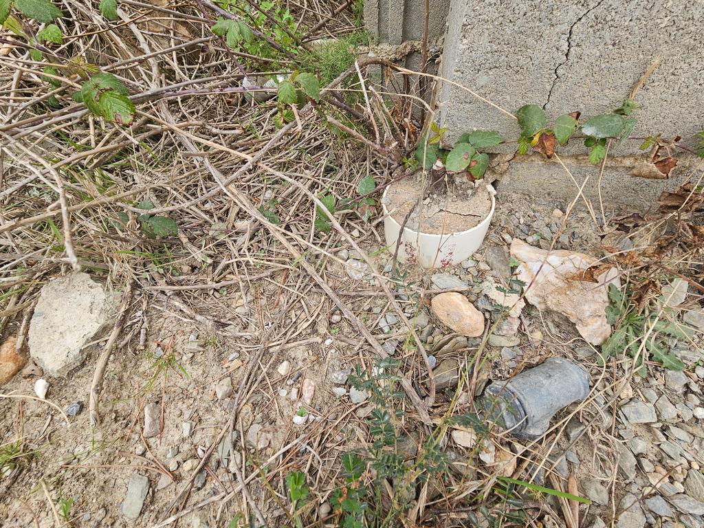 undefined - Image 8