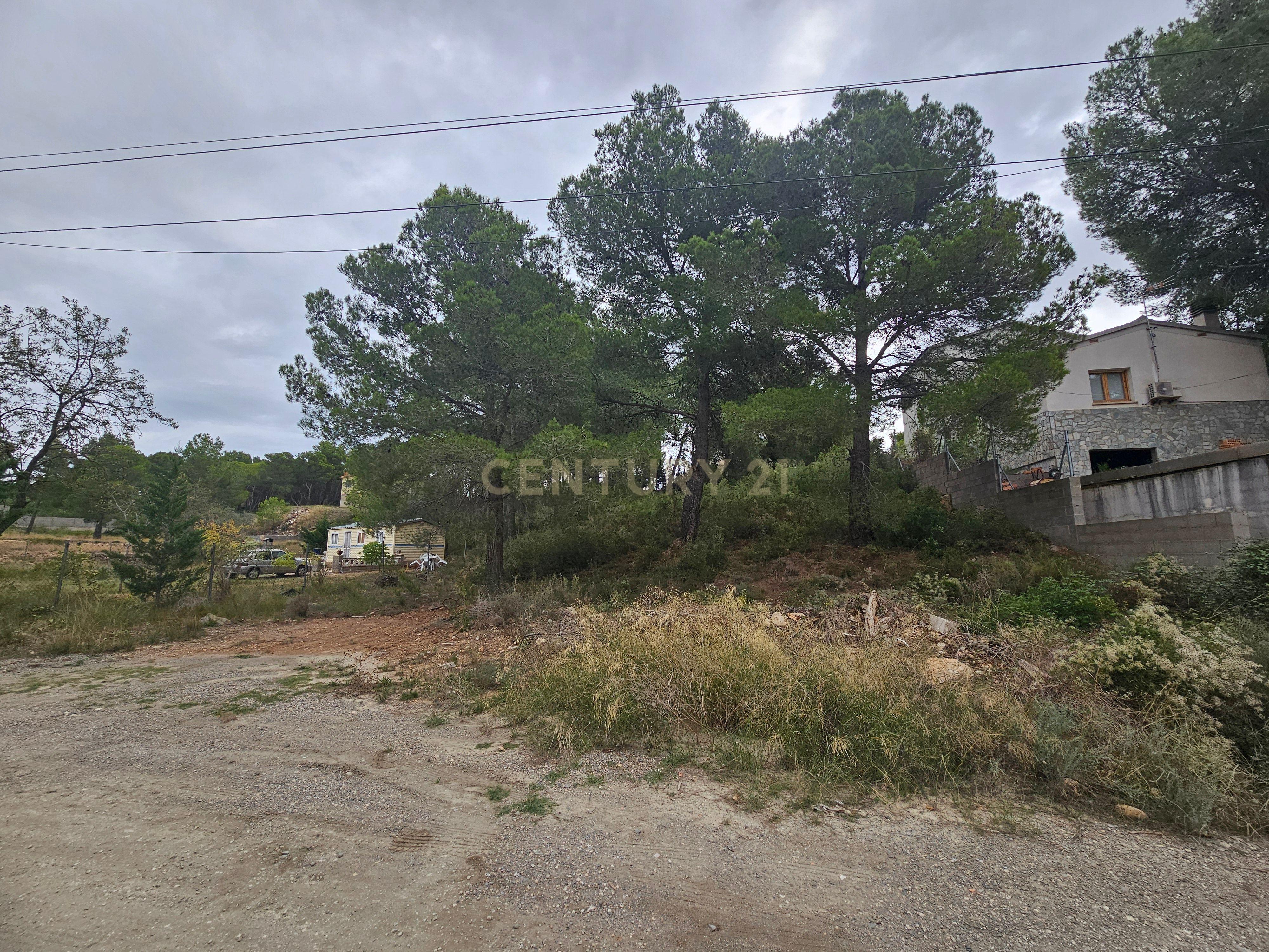 undefined - Image 7