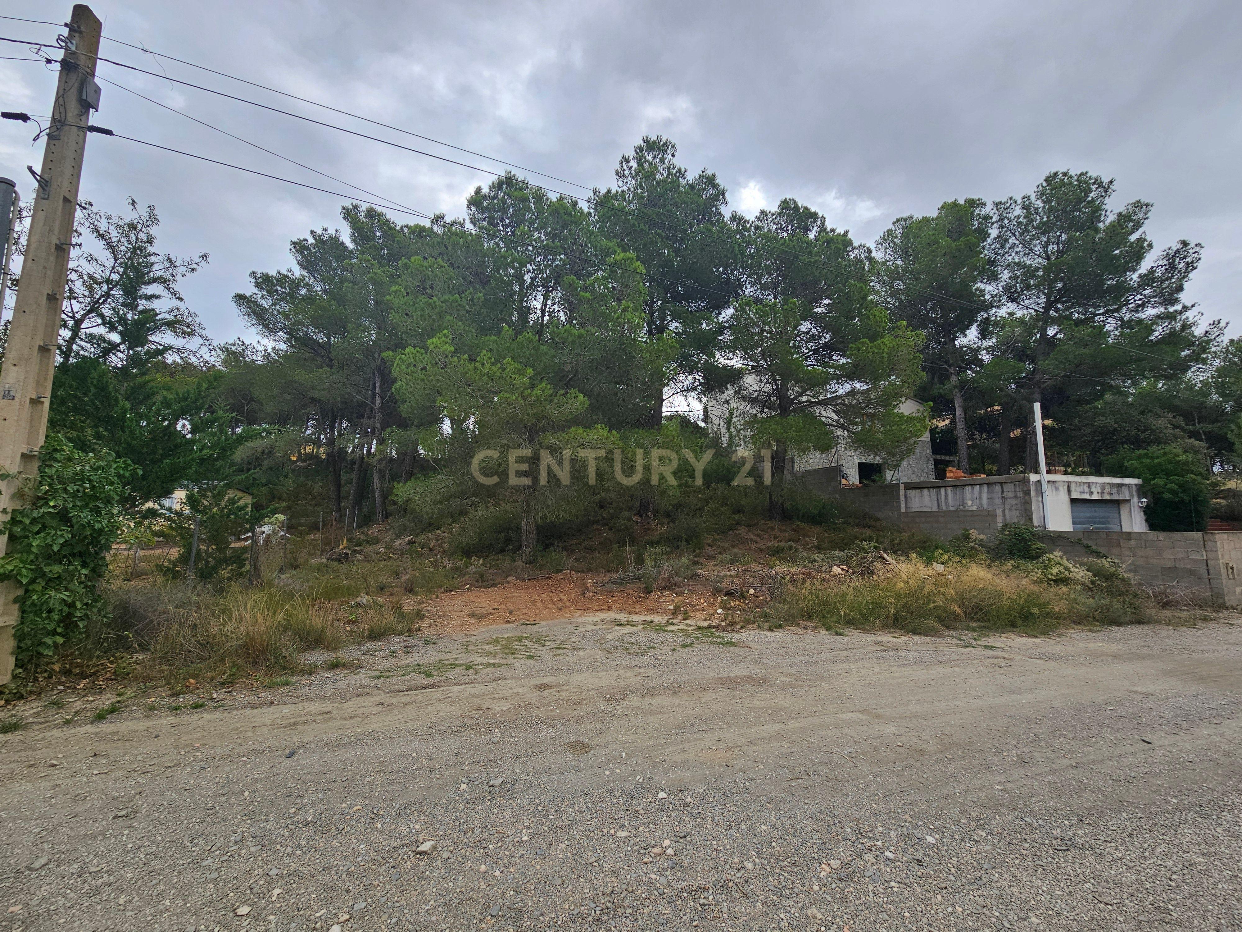 undefined - Image 5