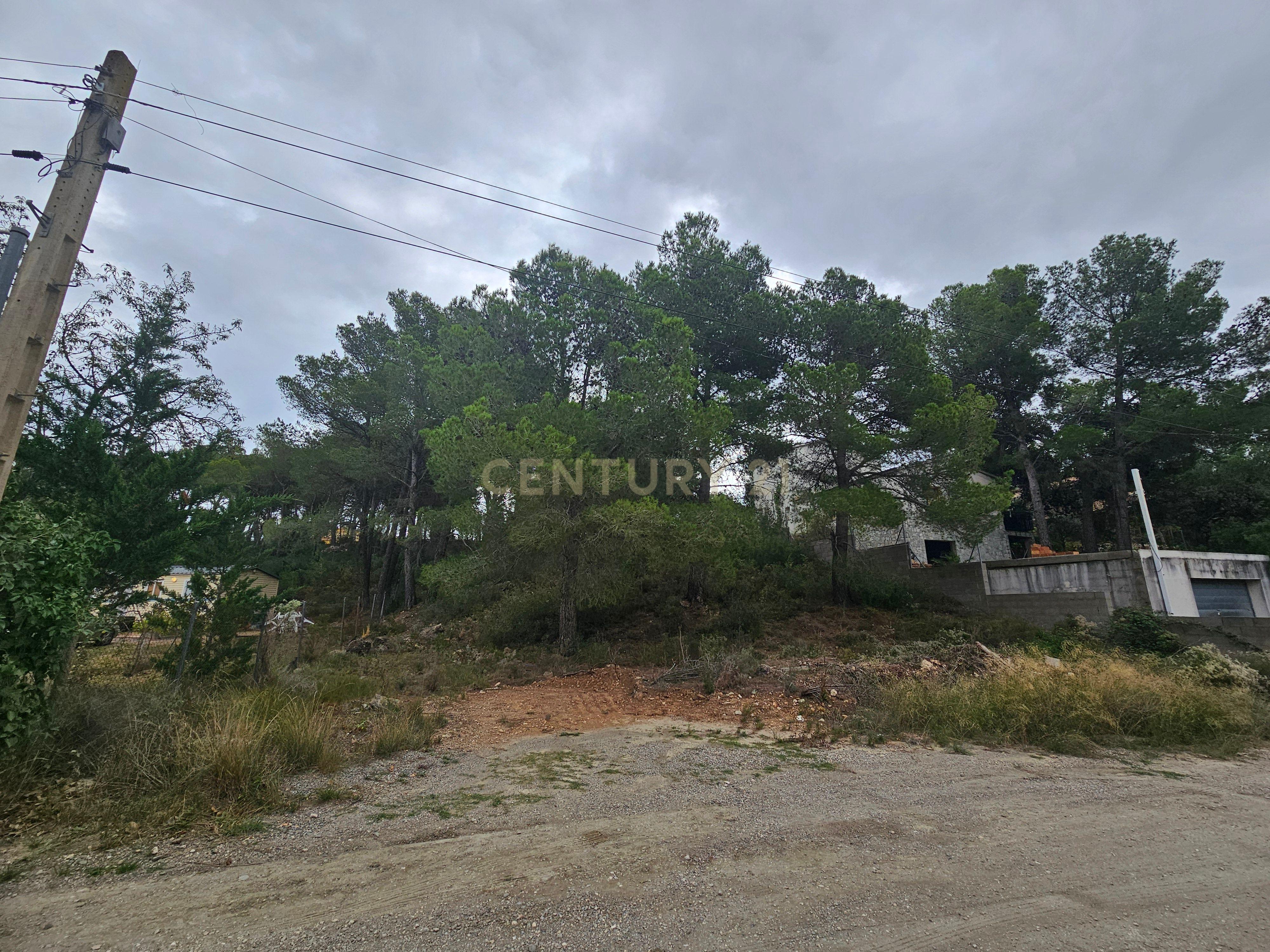 undefined - Image 6