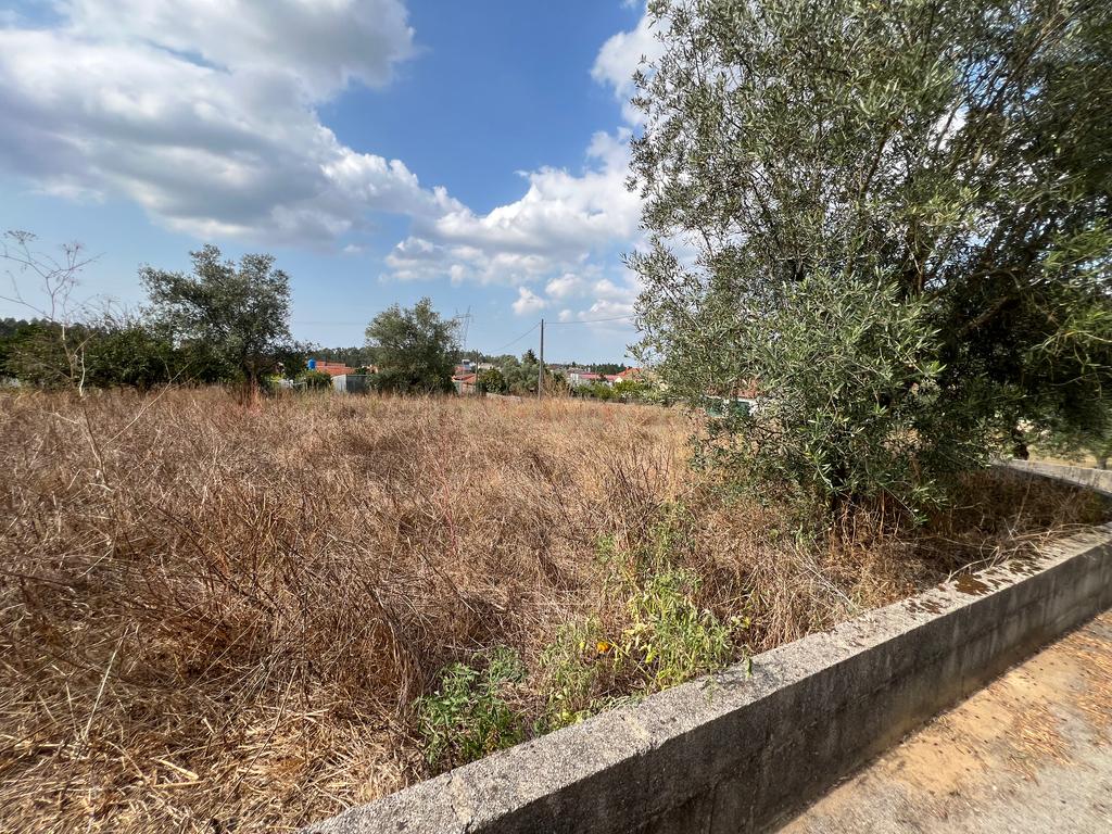 Terreno com Projeto Aprovado - Image 8