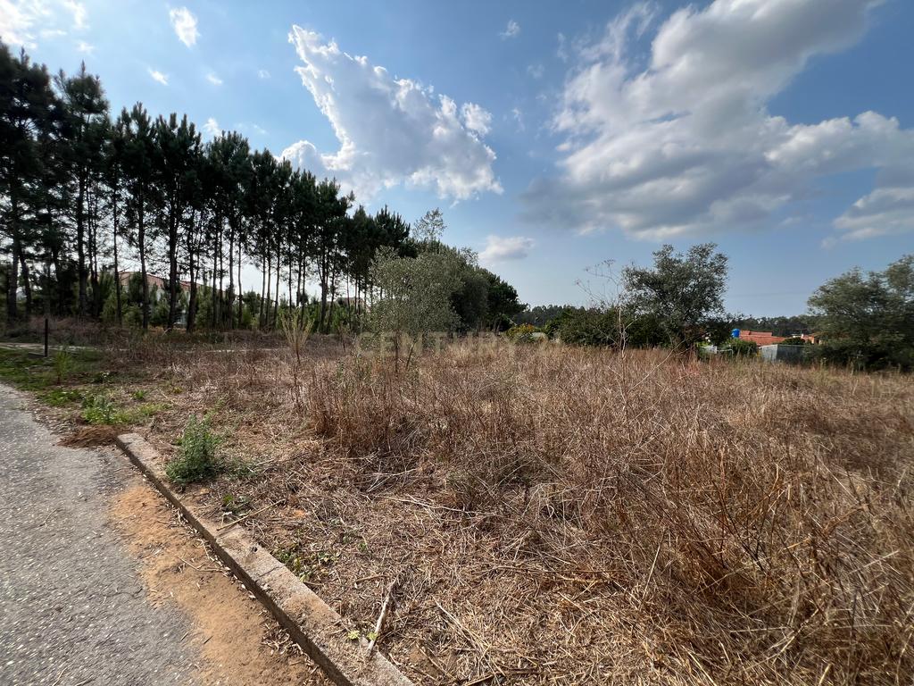 Terreno com Projeto Aprovado - Image 12