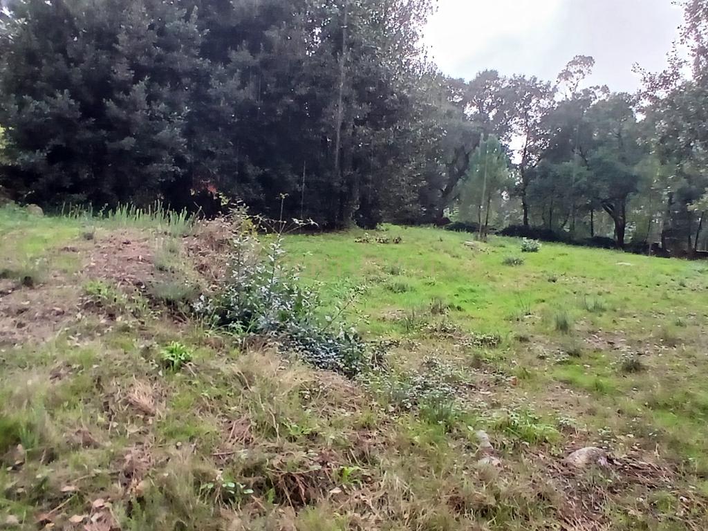 Terreno Rustico para Venda - Carvalhal - Barcelos - Image 1