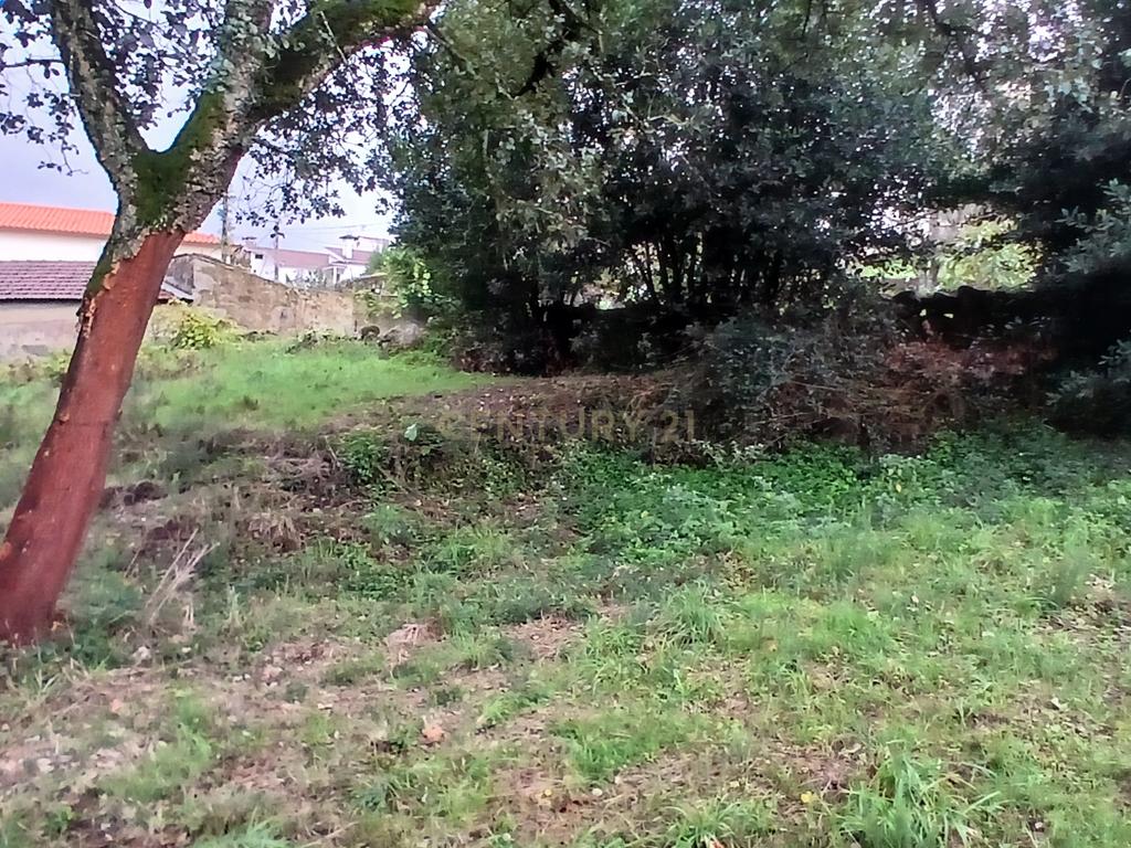 Terreno Rustico para Venda - Carvalhal - Barcelos - Image 12