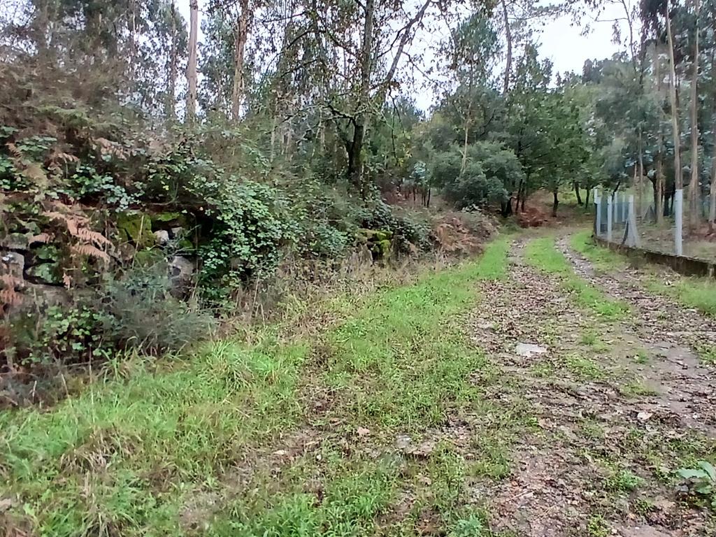 Terreno Rustico para Venda - Carvalhal - Barcelos - Image 11