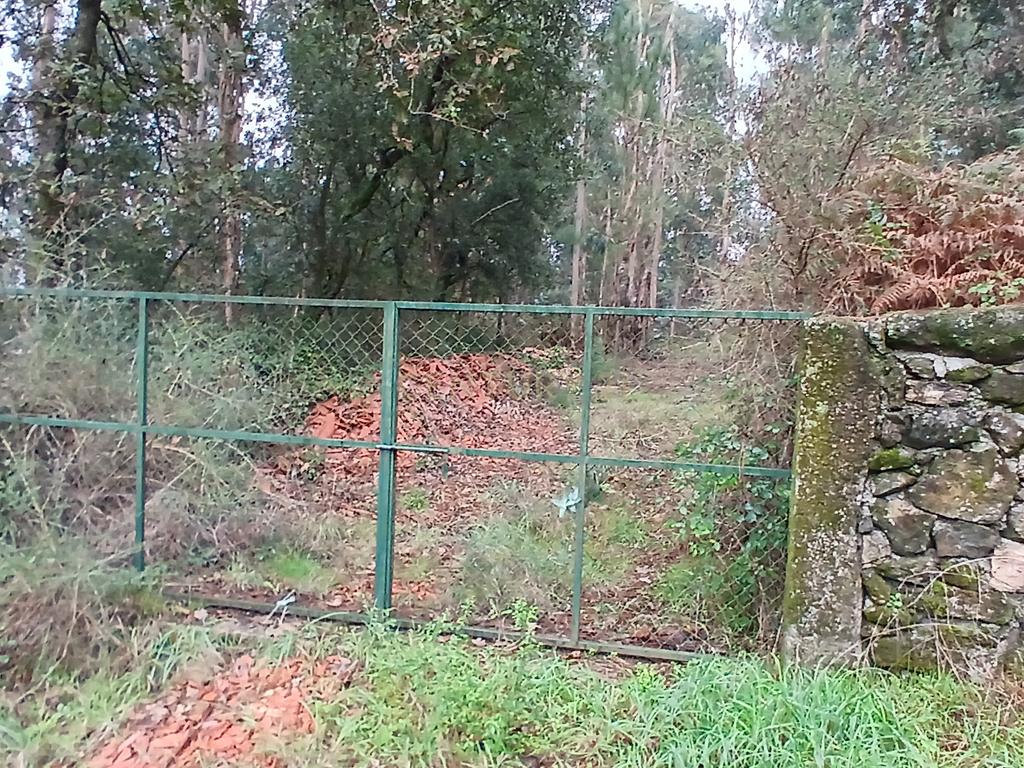 Terreno Rustico para Venda - Carvalhal - Barcelos - Image 8