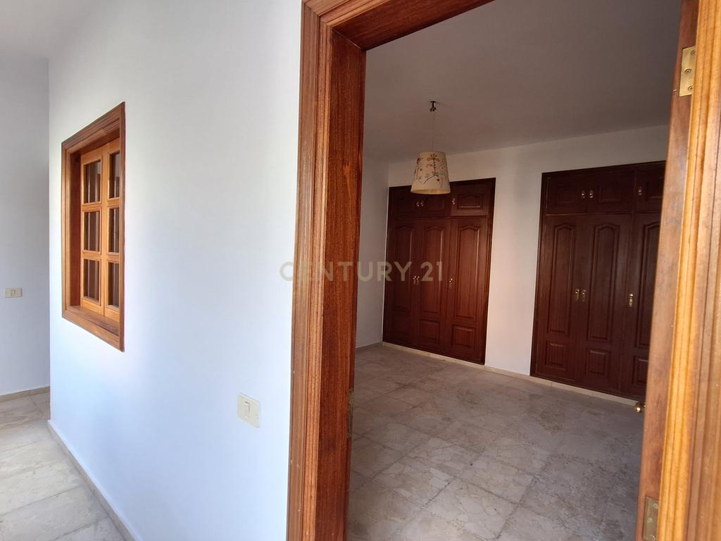  - Image 7