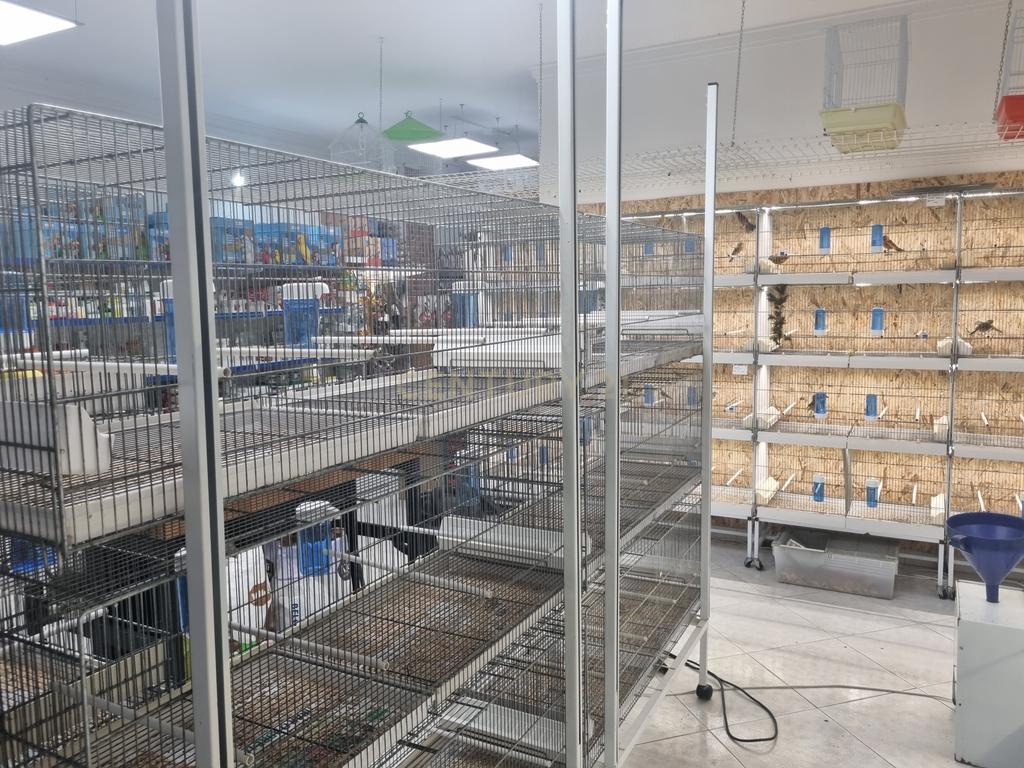 Trespasse de Loja de Animais - Image 19