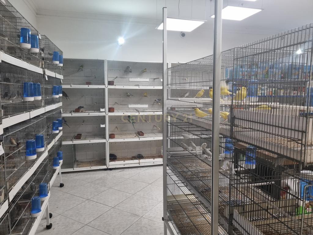Trespasse de Loja de Animais - Image 9