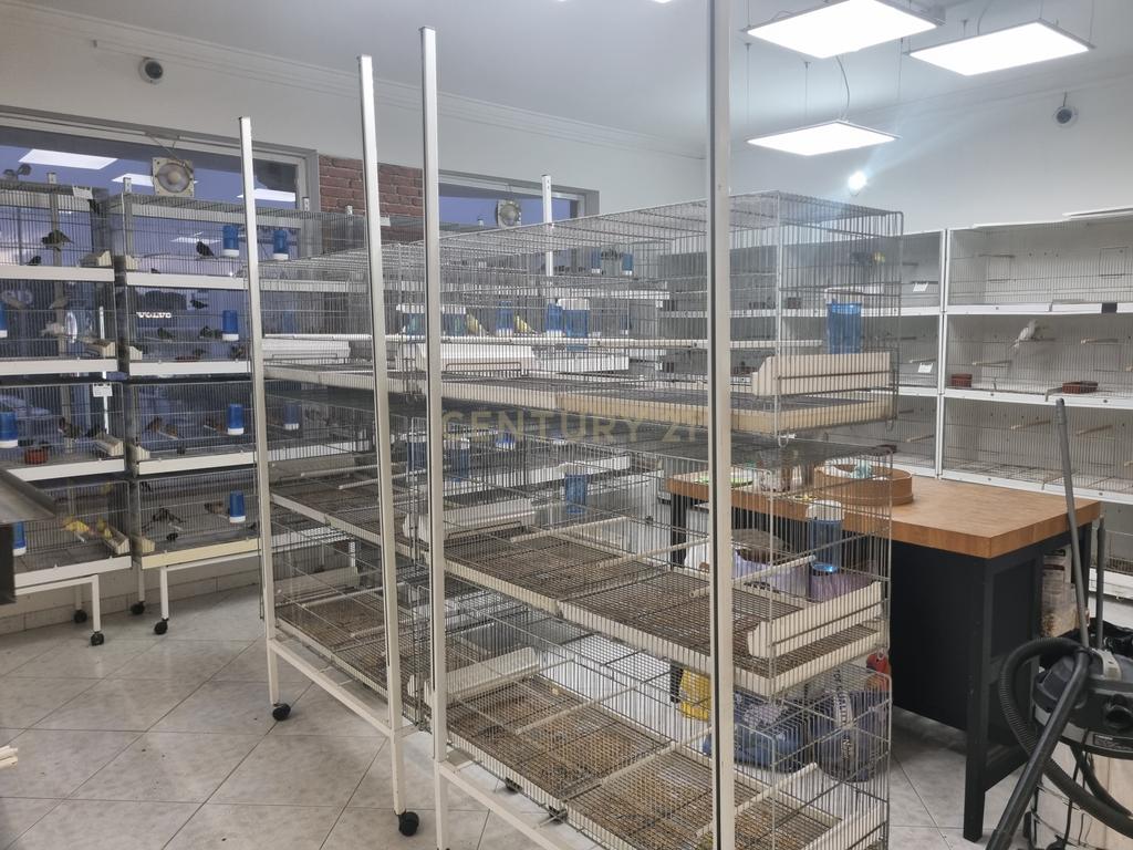 Trespasse de Loja de Animais - Image 3