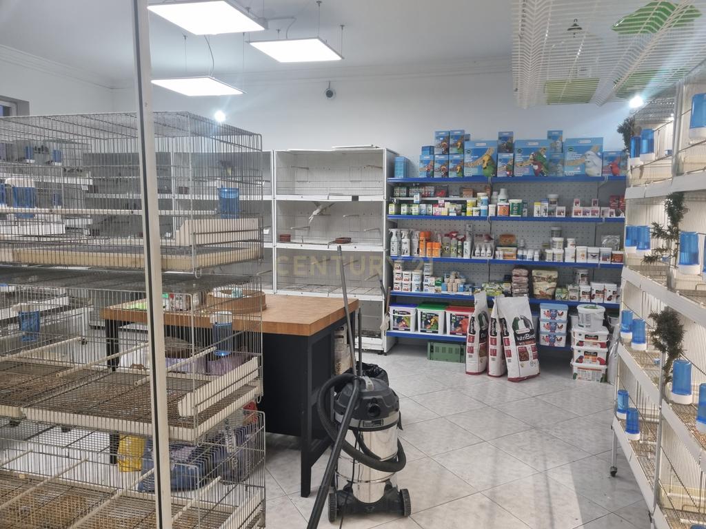 Trespasse de Loja de Animais - Image 18