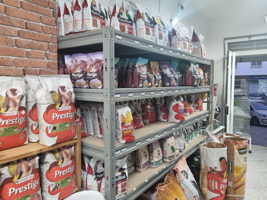 Trespasse de Loja de Animais - Image 2