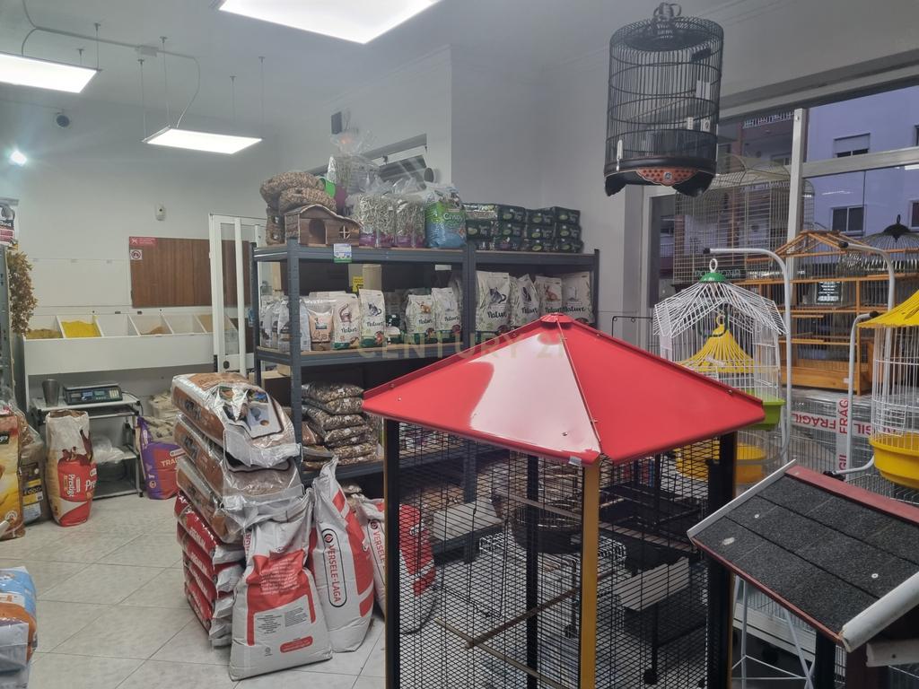Trespasse de Loja de Animais - Image 15