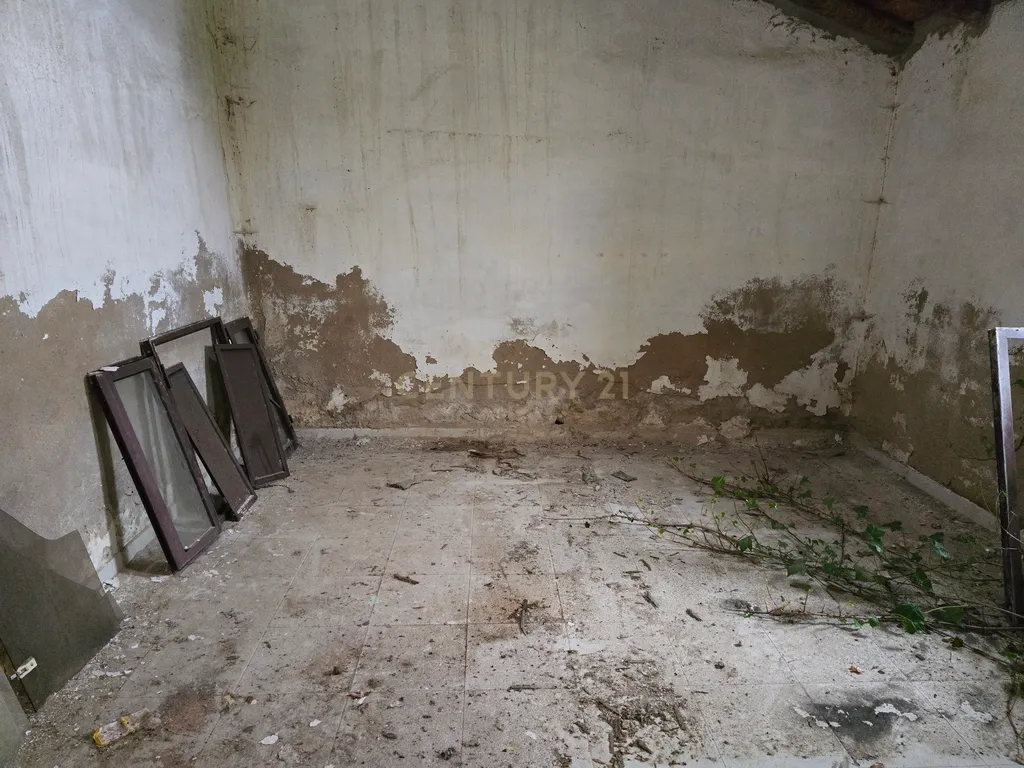 Terreno com Ruína e Projeto Aprovado em Pias, Serpa – Potencial Incrível no Alentejo - Image 14