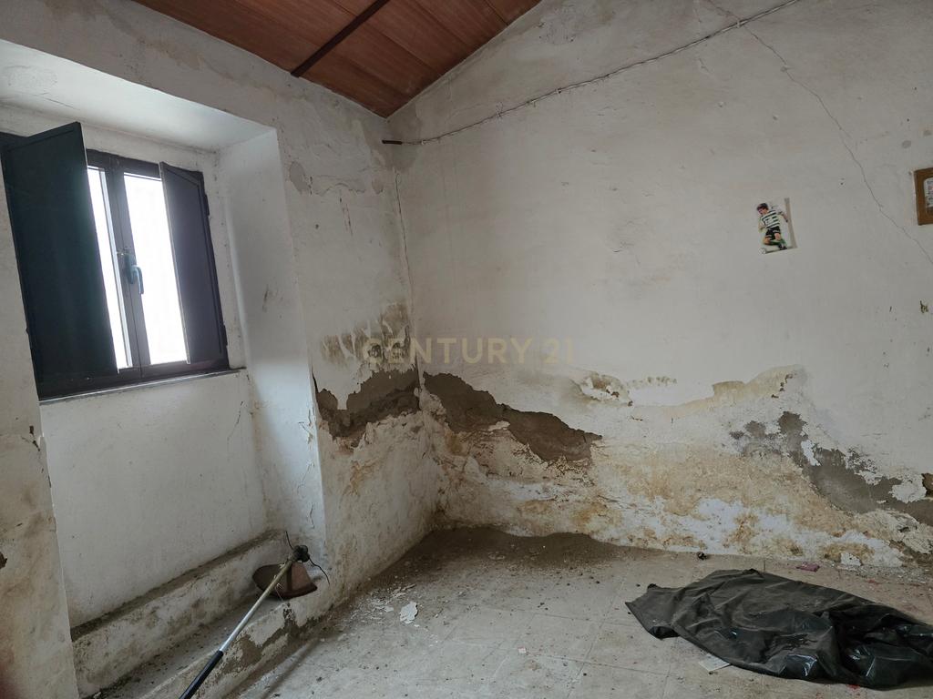 Terreno com Ruína e Projeto Aprovado em Pias, Serpa – Potencial Incrível no Alentejo - Image 5