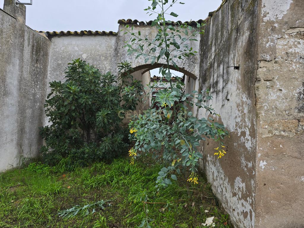 Terreno com Ruína e Projeto Aprovado em Pias, Serpa – Potencial Incrível no Alentejo - Image 15