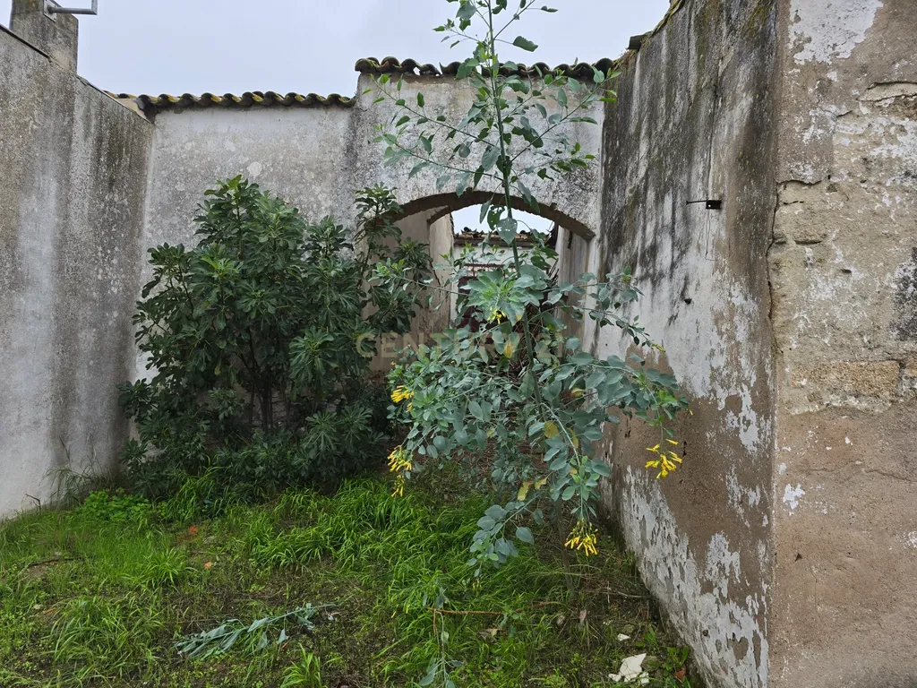 Terreno com Ruína e Projeto Aprovado em Pias, Serpa – Potencial Incrível no Alentejo - Image 15