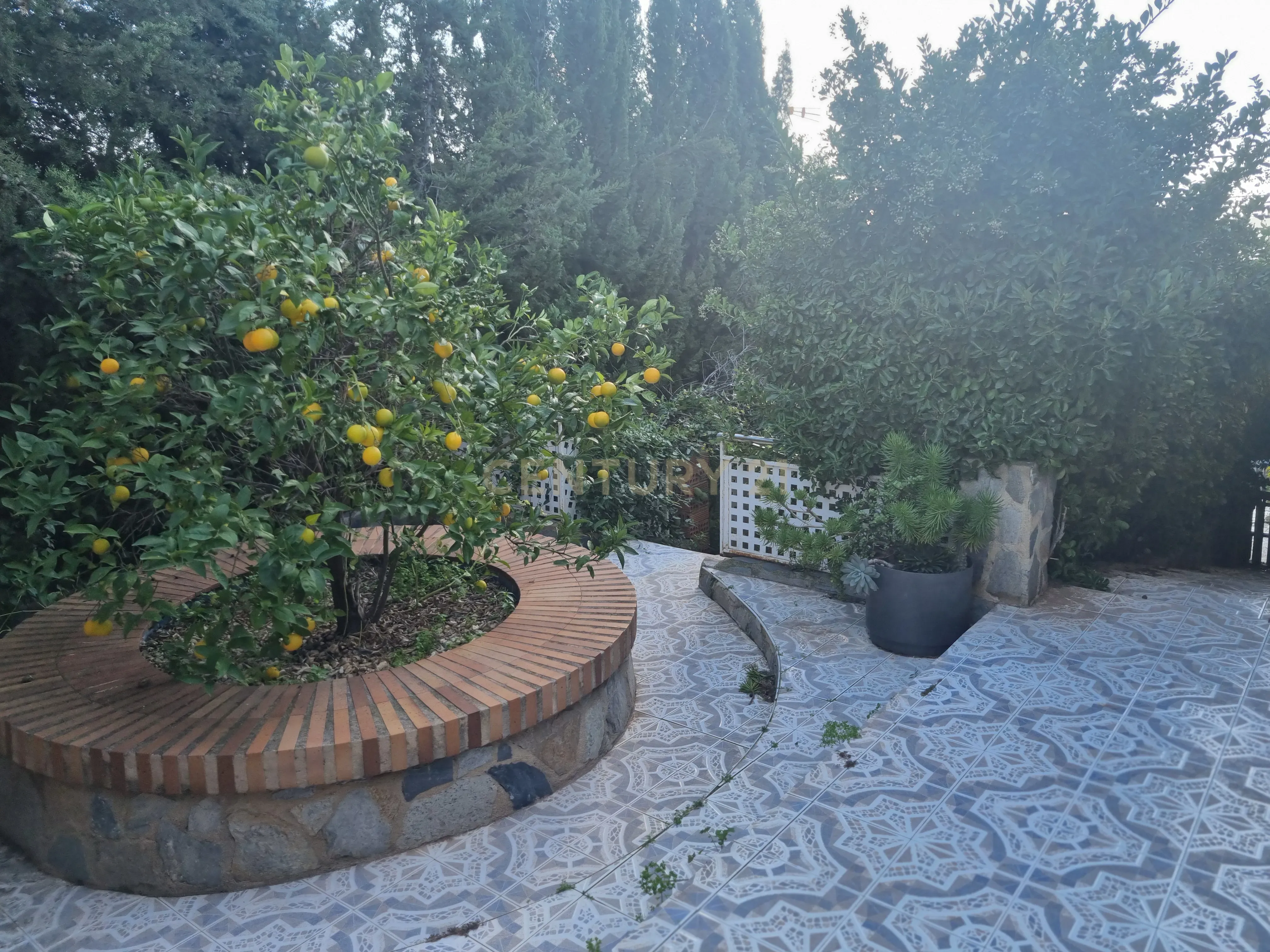 undefined - Image 68