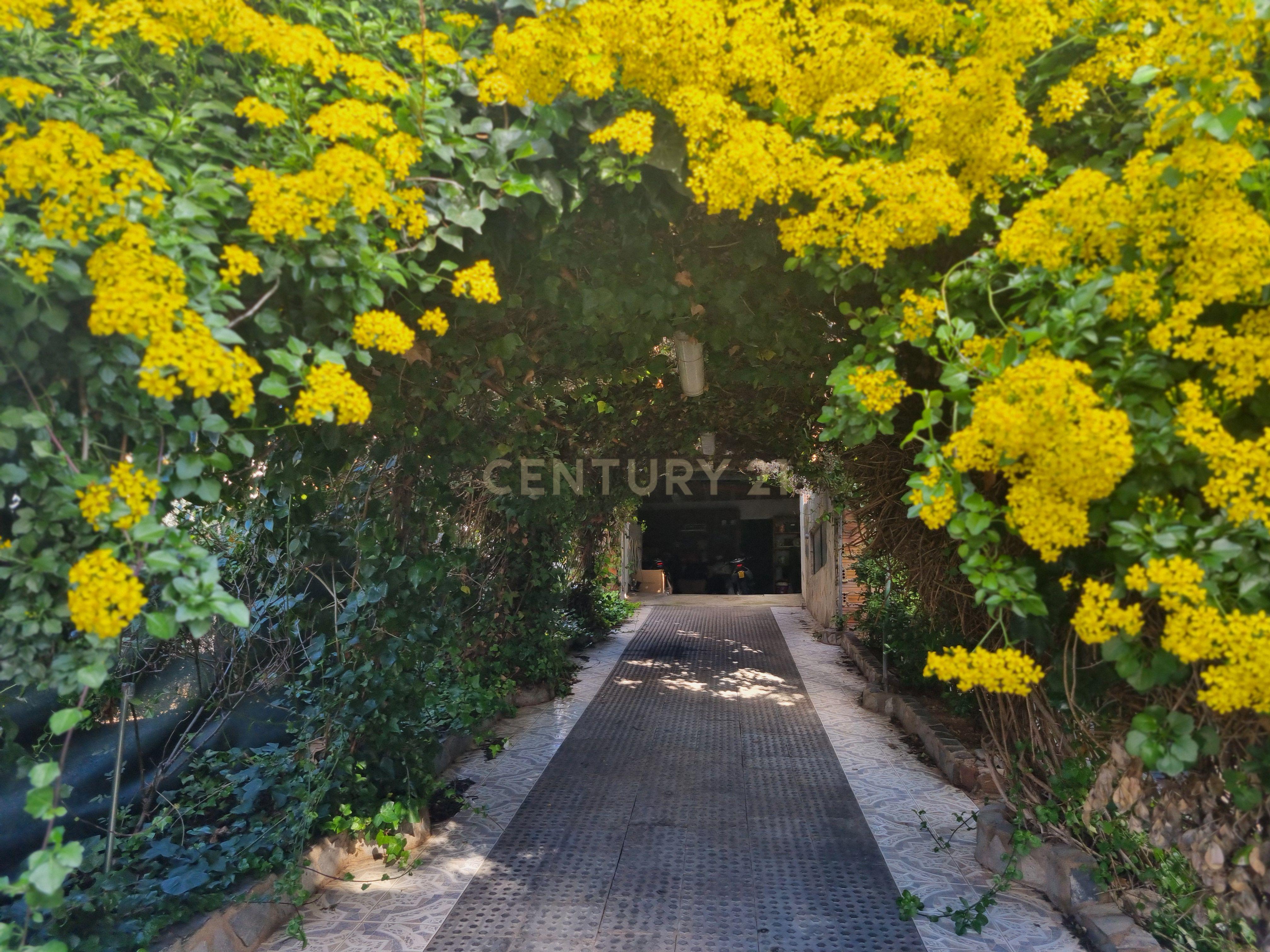 undefined - Image 72