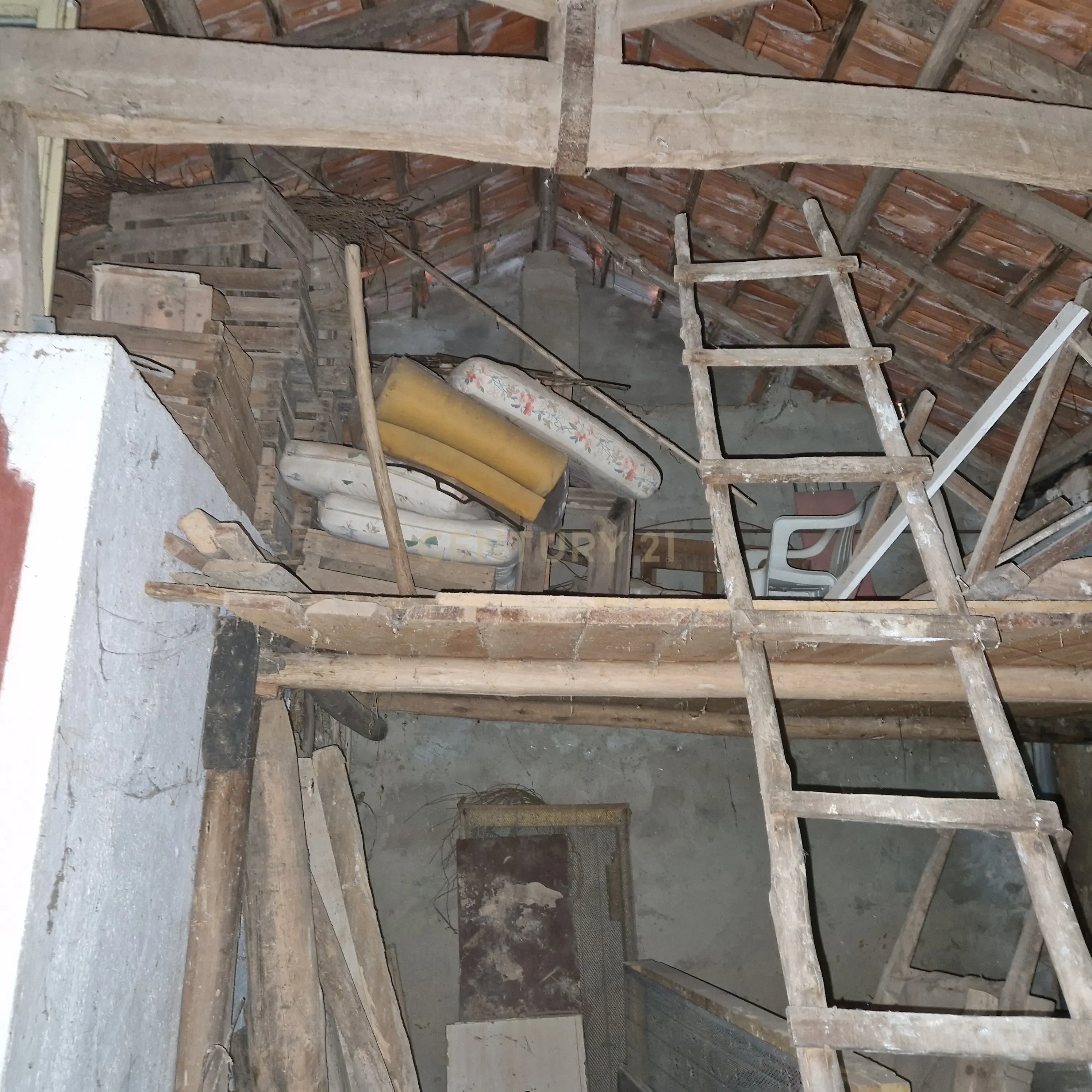 Moradia + Adega para remodelação - Image 6