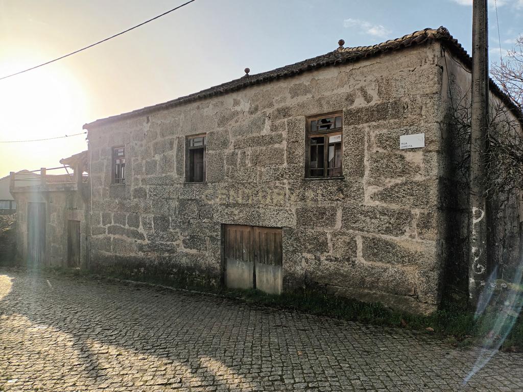 Ruína com Souto de Castanheiros em Tazém - Image 1