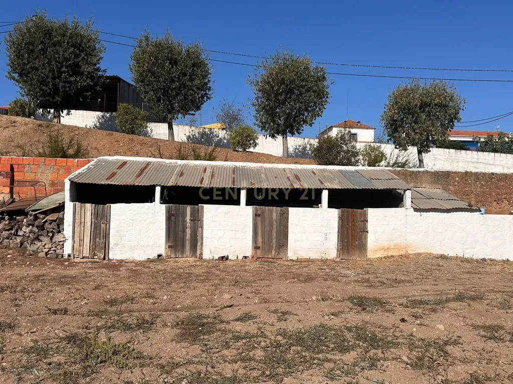 ALBERNOA-BEJA - ALENTEJO- Quinta com 1750 m2. Casa de 229 m2 Cozinha-Sala -3 quartos . Garagem. - Image 50