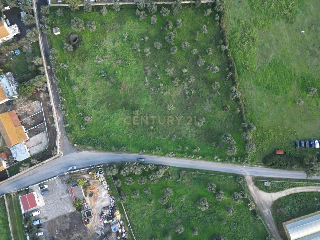 Terreno com PIP para LAR /  Residencia Idosos e Apoio Domiciliário - Image 17
