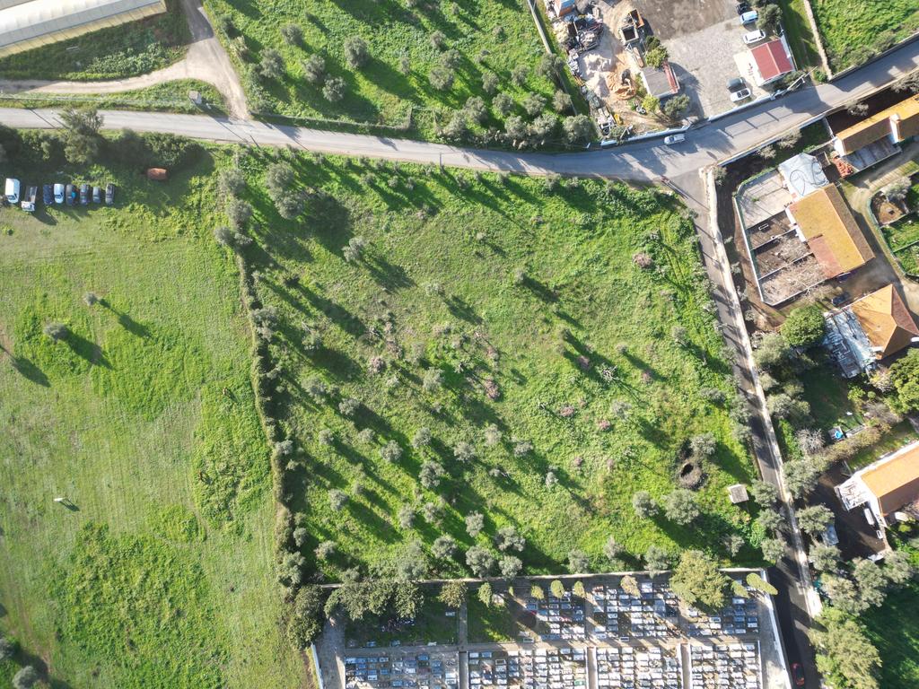Terreno com PIP para LAR /  Residencia Idosos e Apoio Domiciliário - Image 19