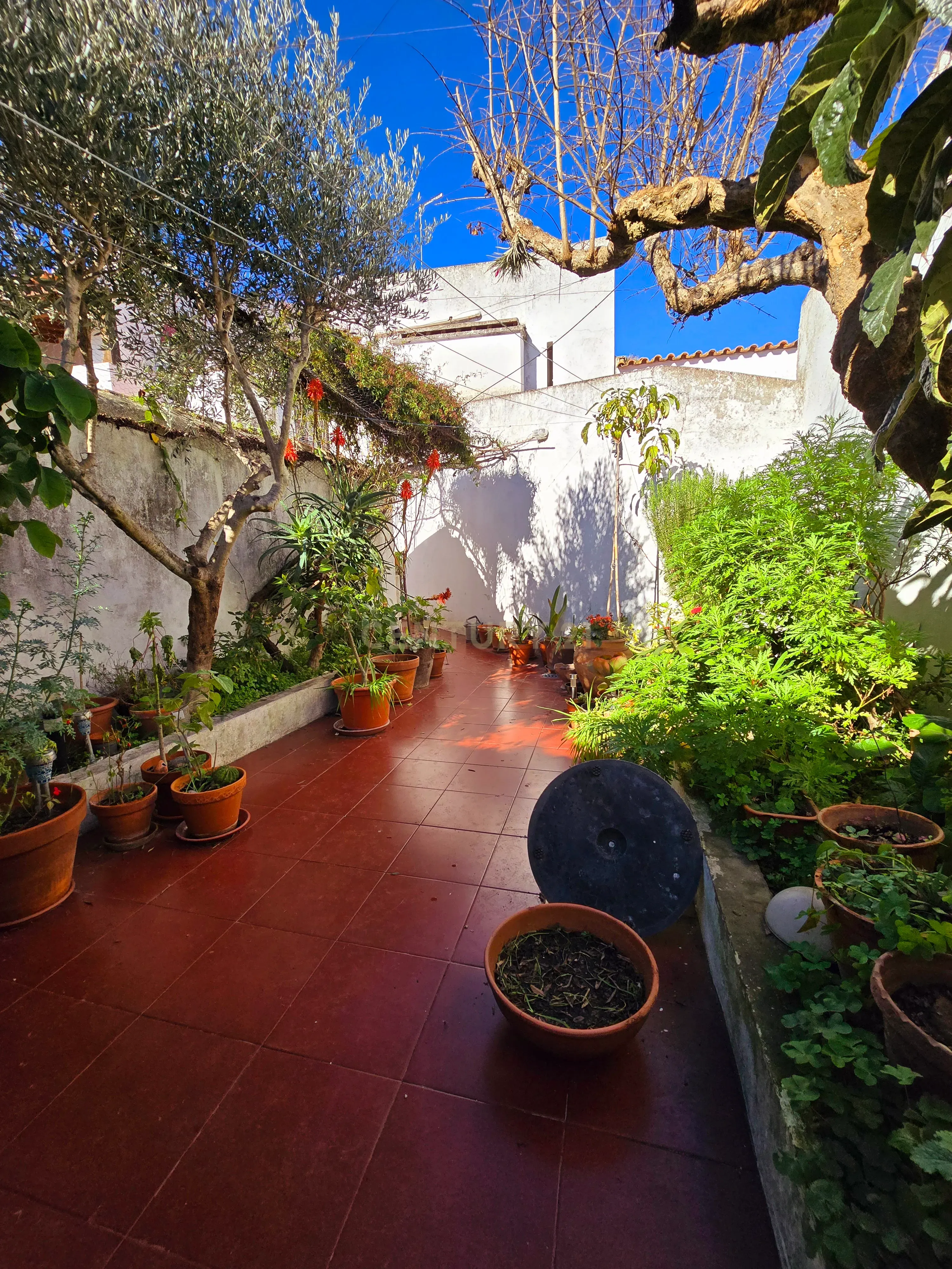 Moradia T2 + 1 com Quintal e Terraço no Centro de Alvito – Beja Alentejo - Image 64