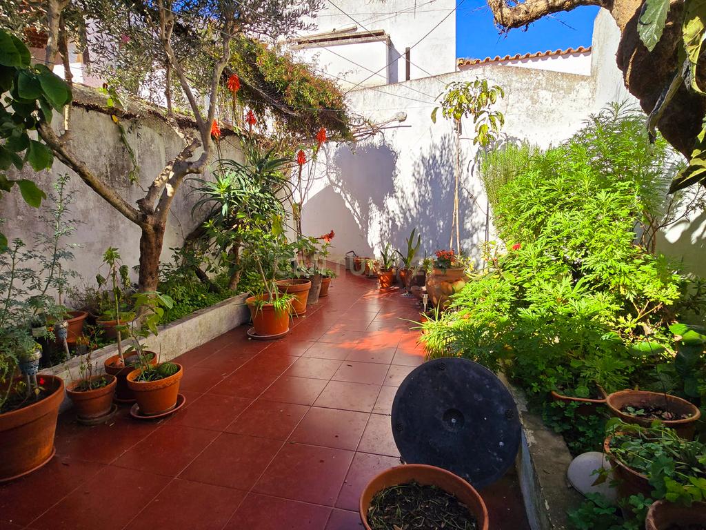 Moradia T2 + 1 com Quintal e Terraço no Centro de Alvito – Beja  Alentejo - Image 64