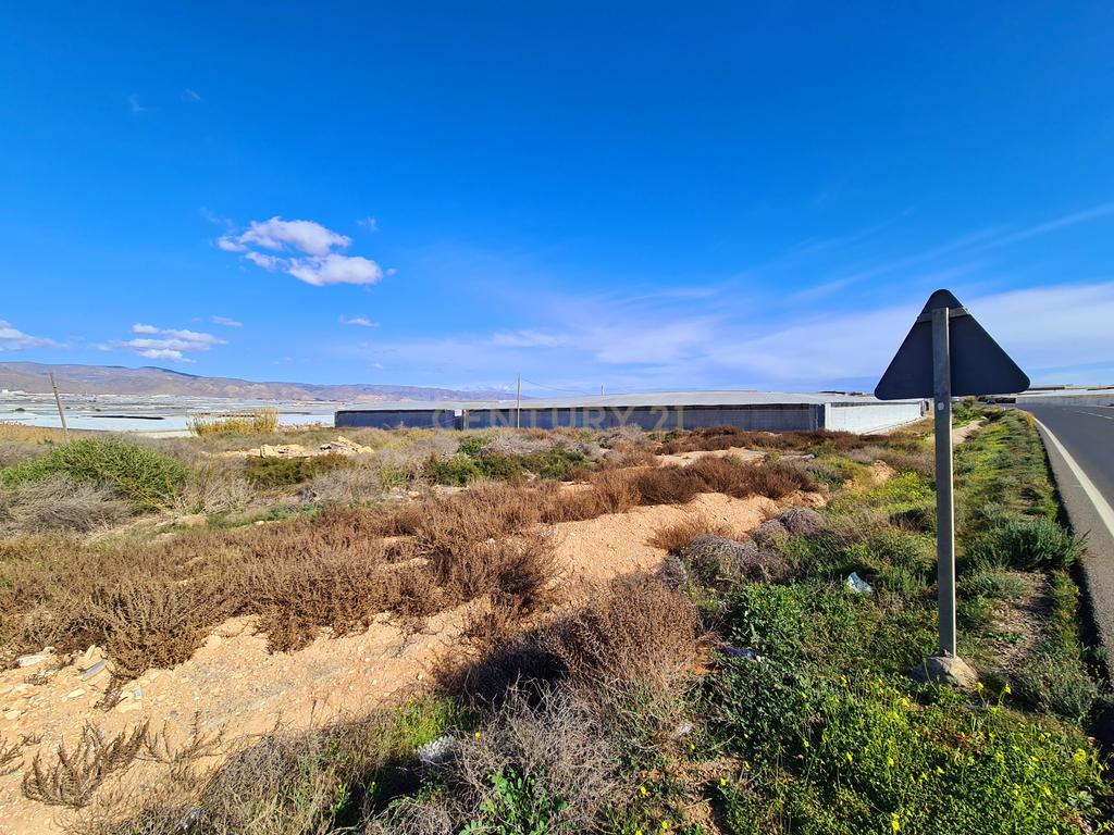 undefined - Image 6