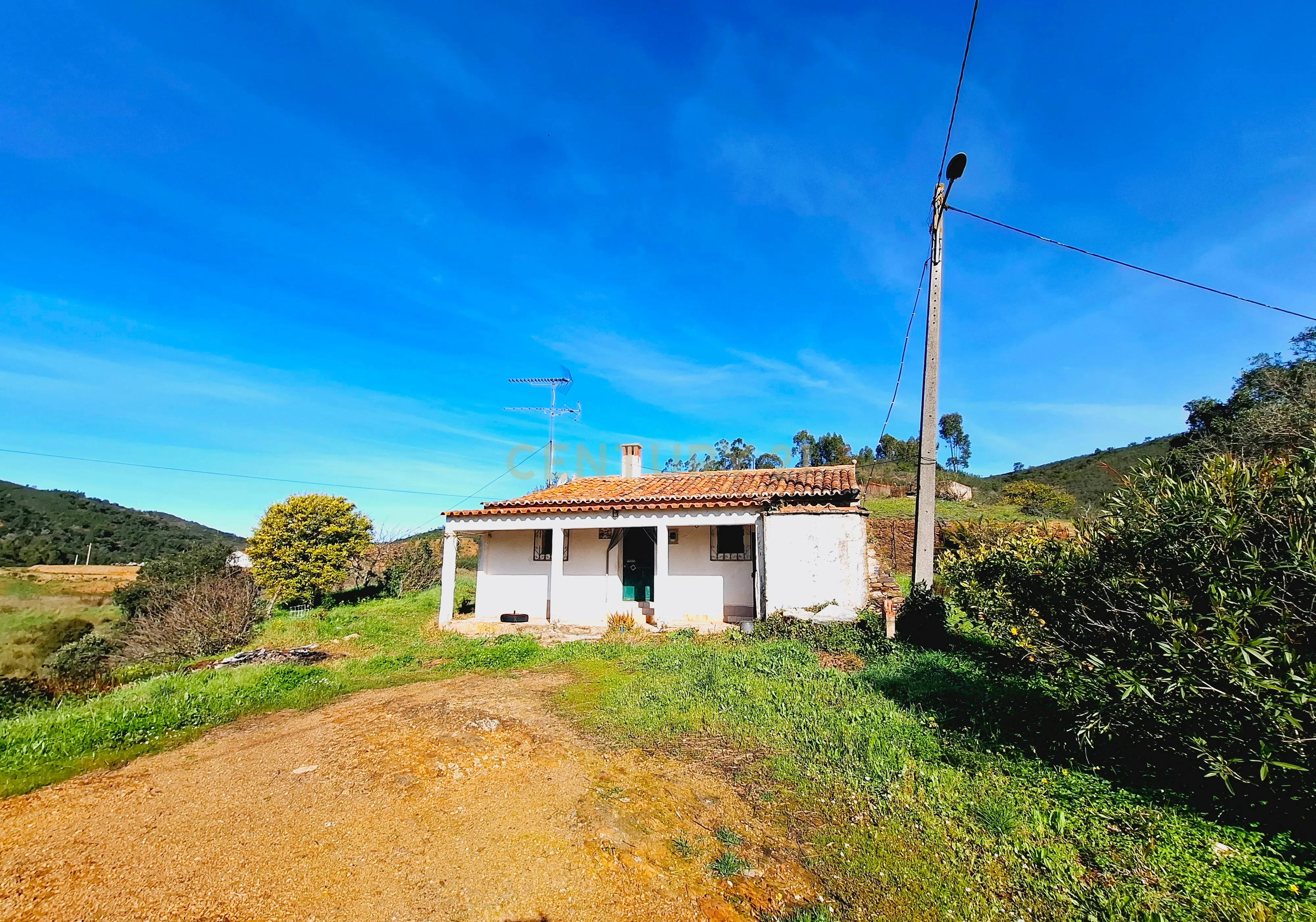 Herdade com 6 Ha com uma casa térrea - Image 1