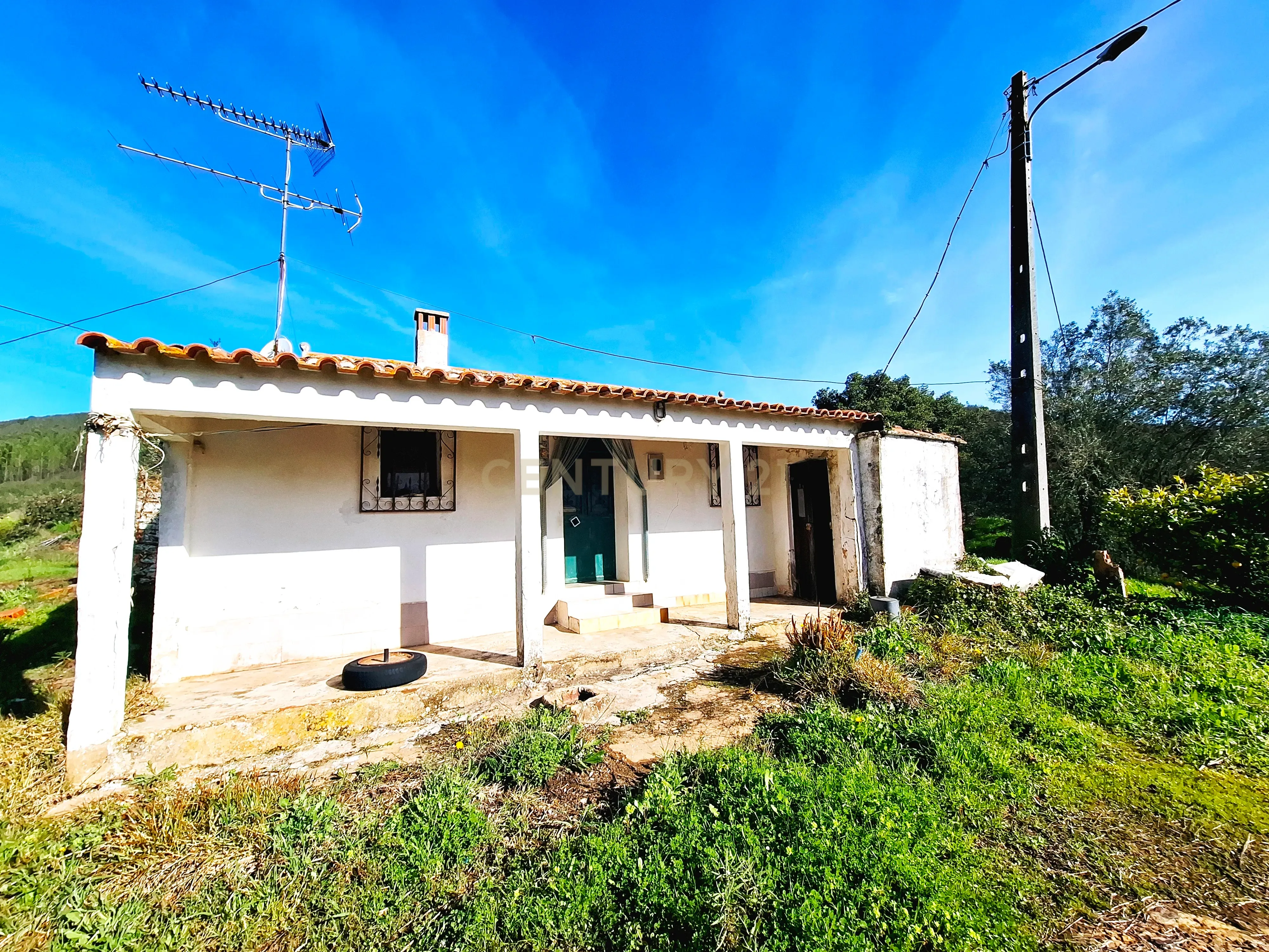 Herdade com 6 Ha com uma casa térrea - Image 4