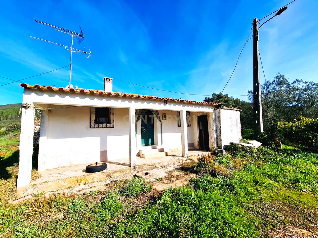 Herdade com 6 Ha  com uma casa térrea - Image 4