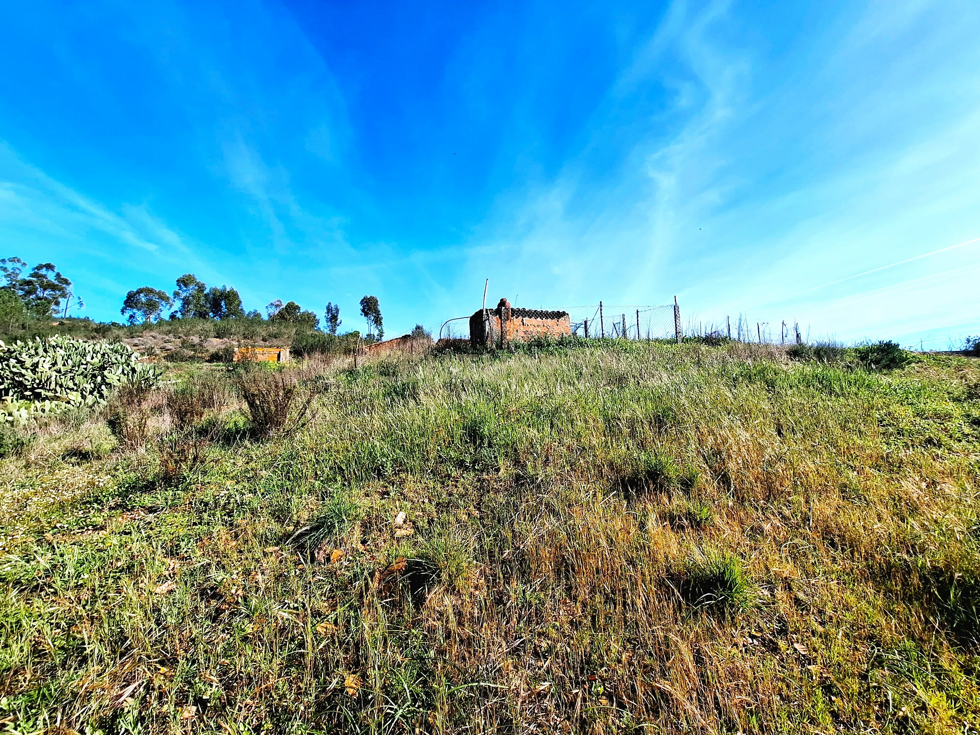 Herdade com 6 Ha com uma casa térrea - Image 10