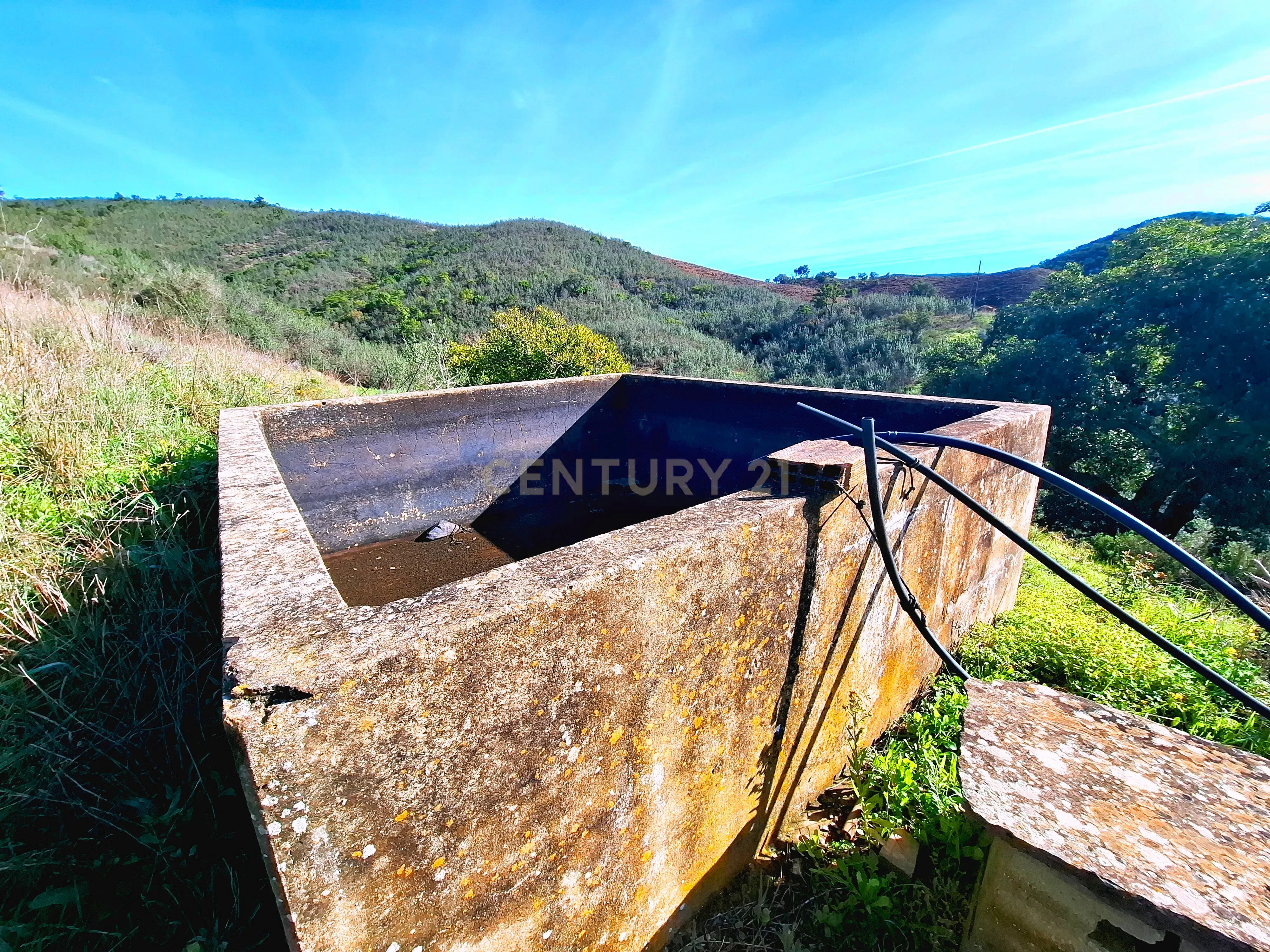 Herdade com 6 Ha com uma casa térrea - Image 6