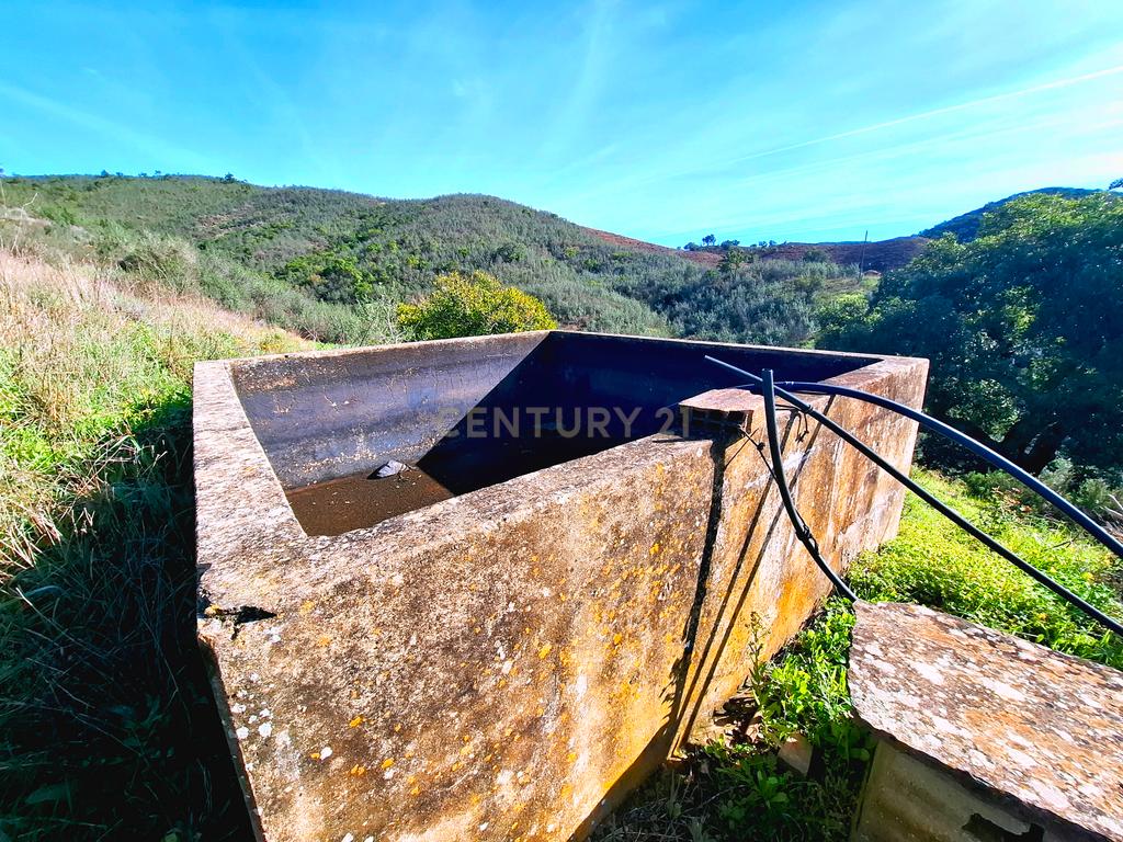 Herdade com 6 Ha  com uma casa térrea - Image 6