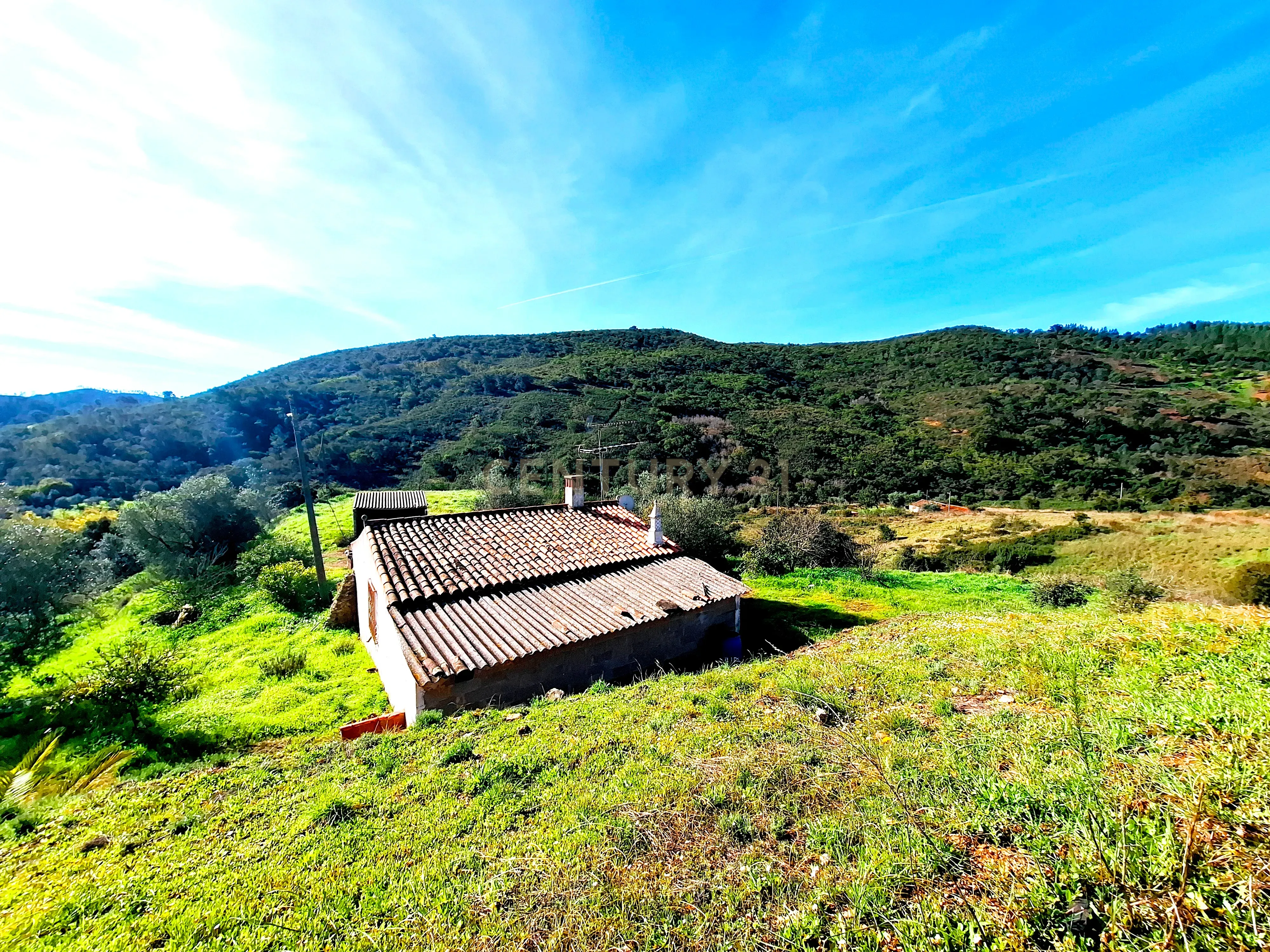 Herdade com 6 Ha com uma casa térrea - Image 7