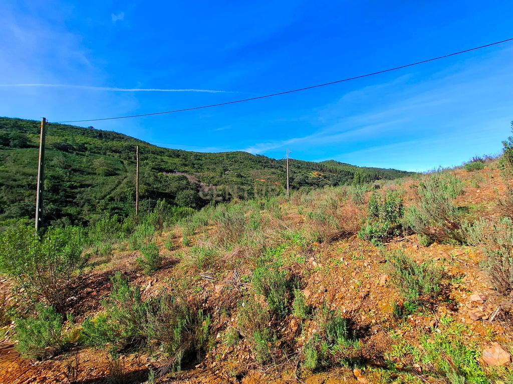 Herdade com 6 Ha  com uma casa térrea - Image 9