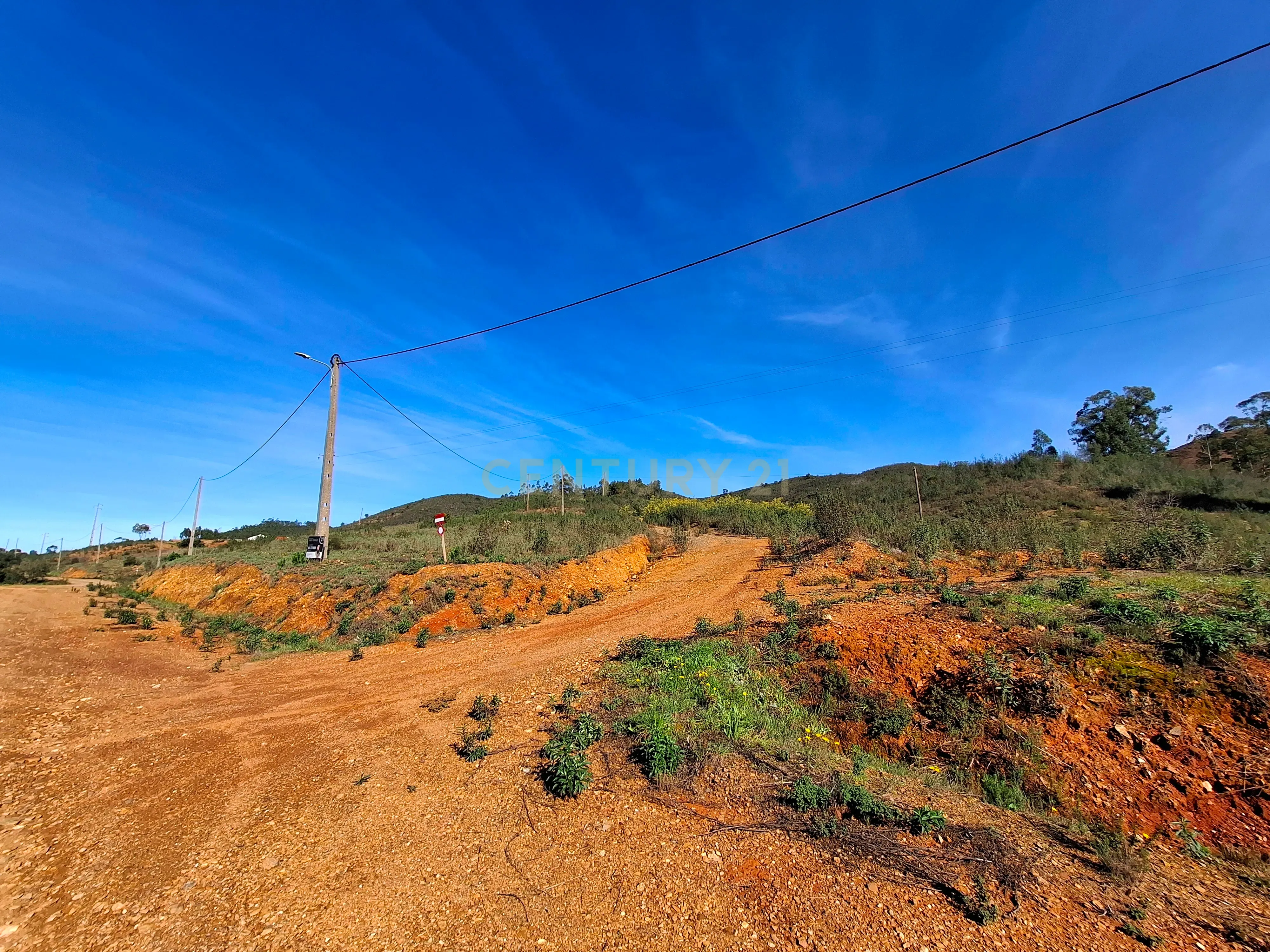Herdade com 6 Ha com uma casa térrea - Image 12