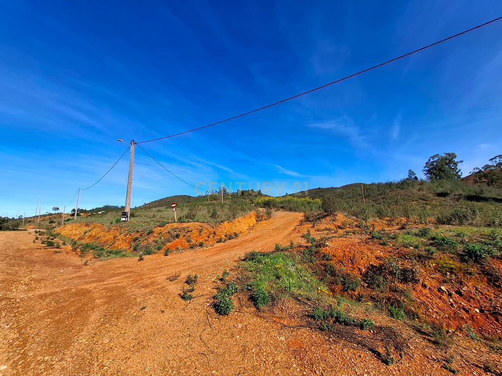 Herdade com 6 Ha  com uma casa térrea - Image 12