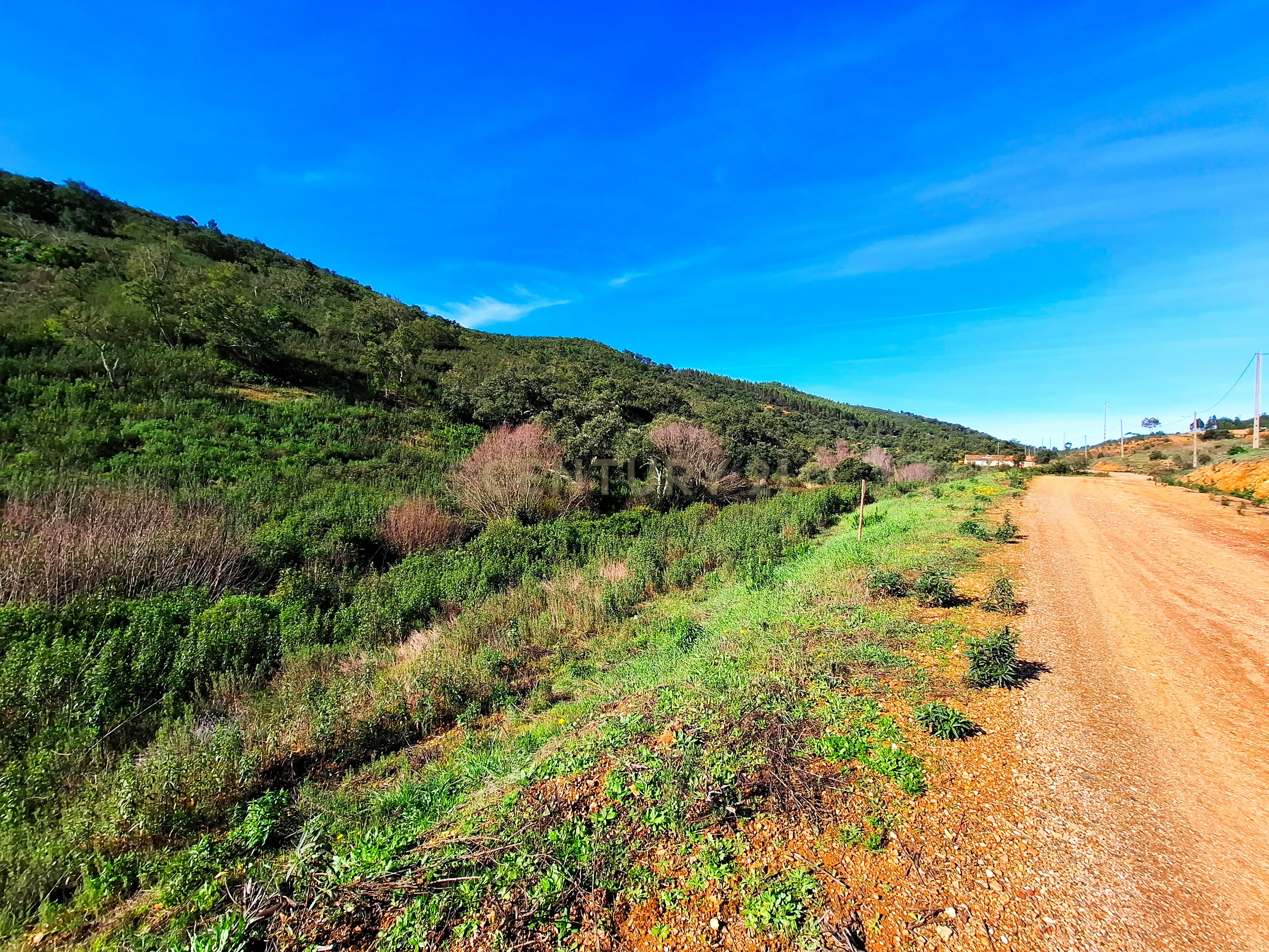 Herdade com 6 Ha com uma casa térrea - Image 15