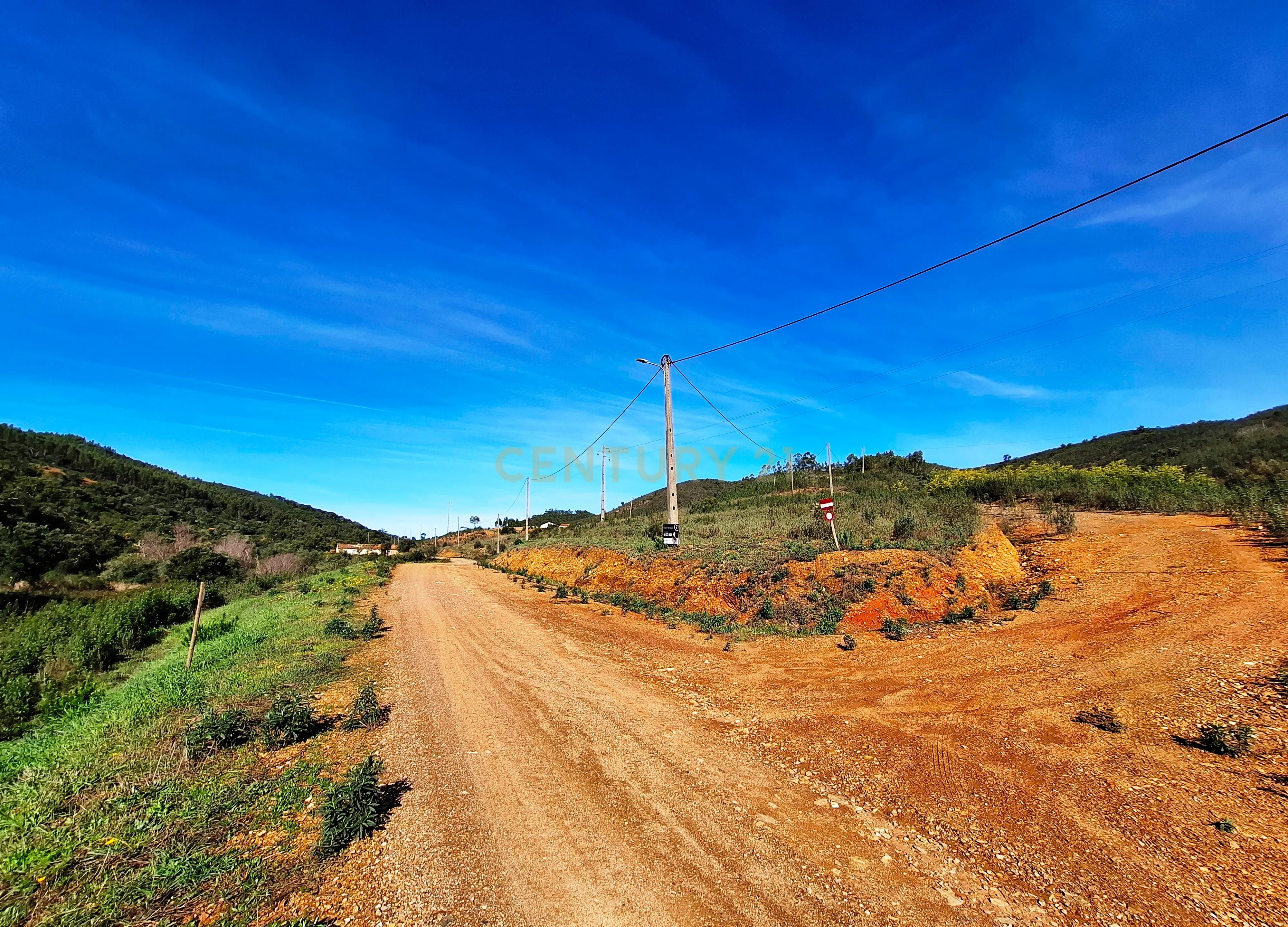 Herdade com 6 Ha com uma casa térrea - Image 8