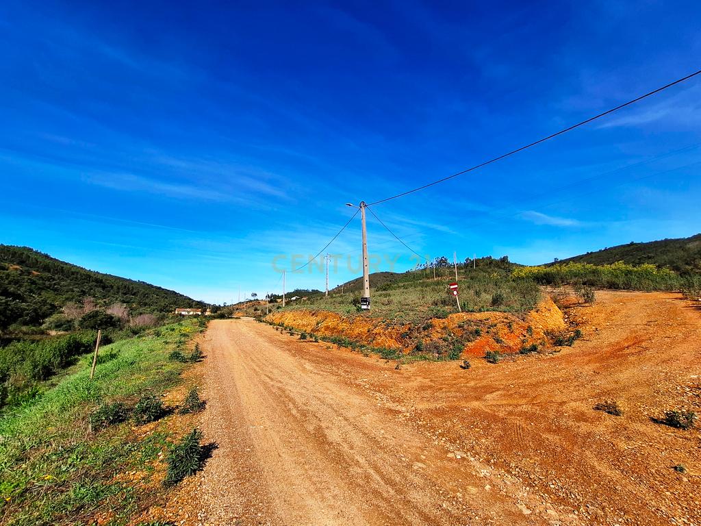 Herdade com 6 Ha  com uma casa térrea - Image 8