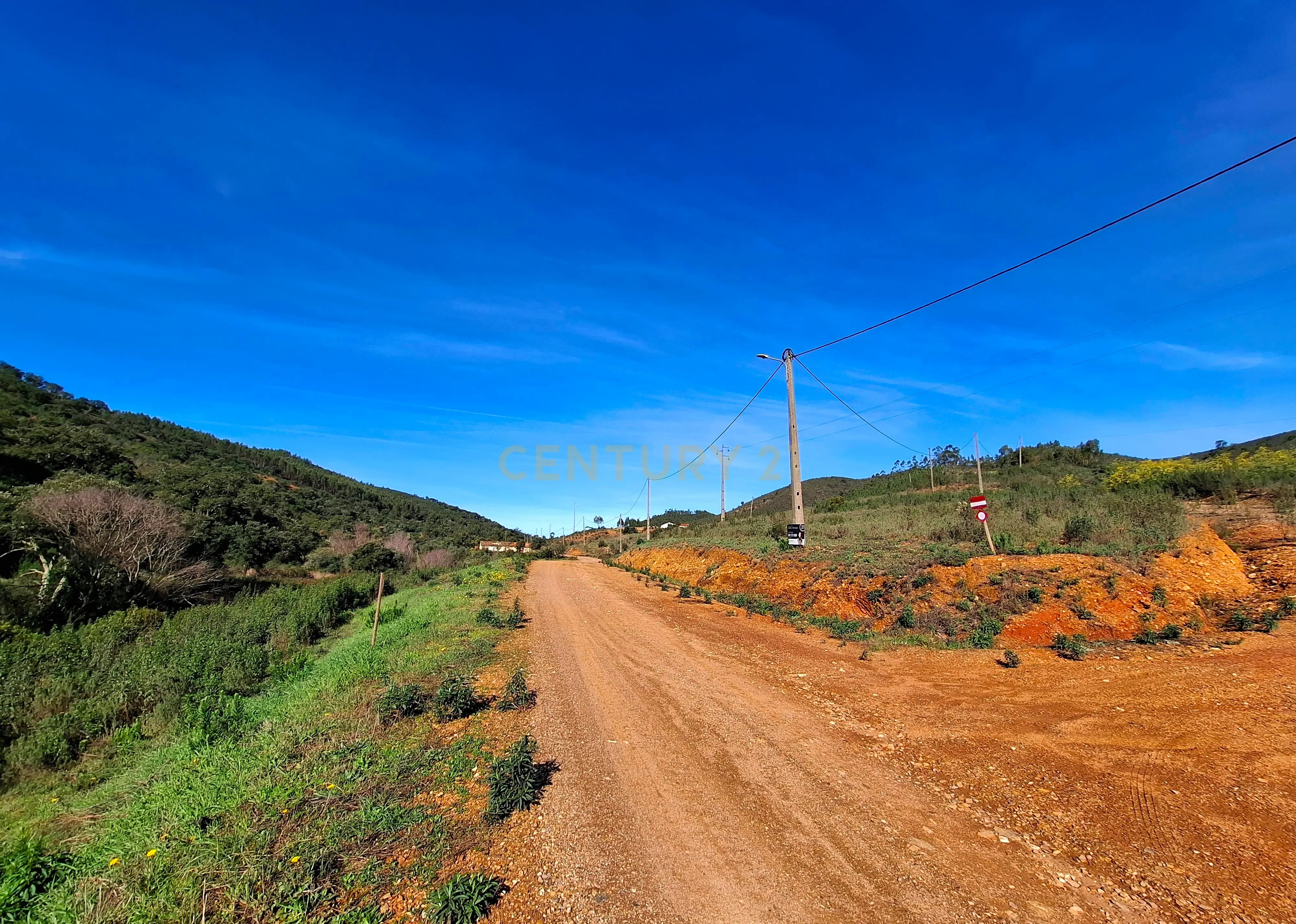 Herdade com 6 Ha com uma casa térrea - Image 13